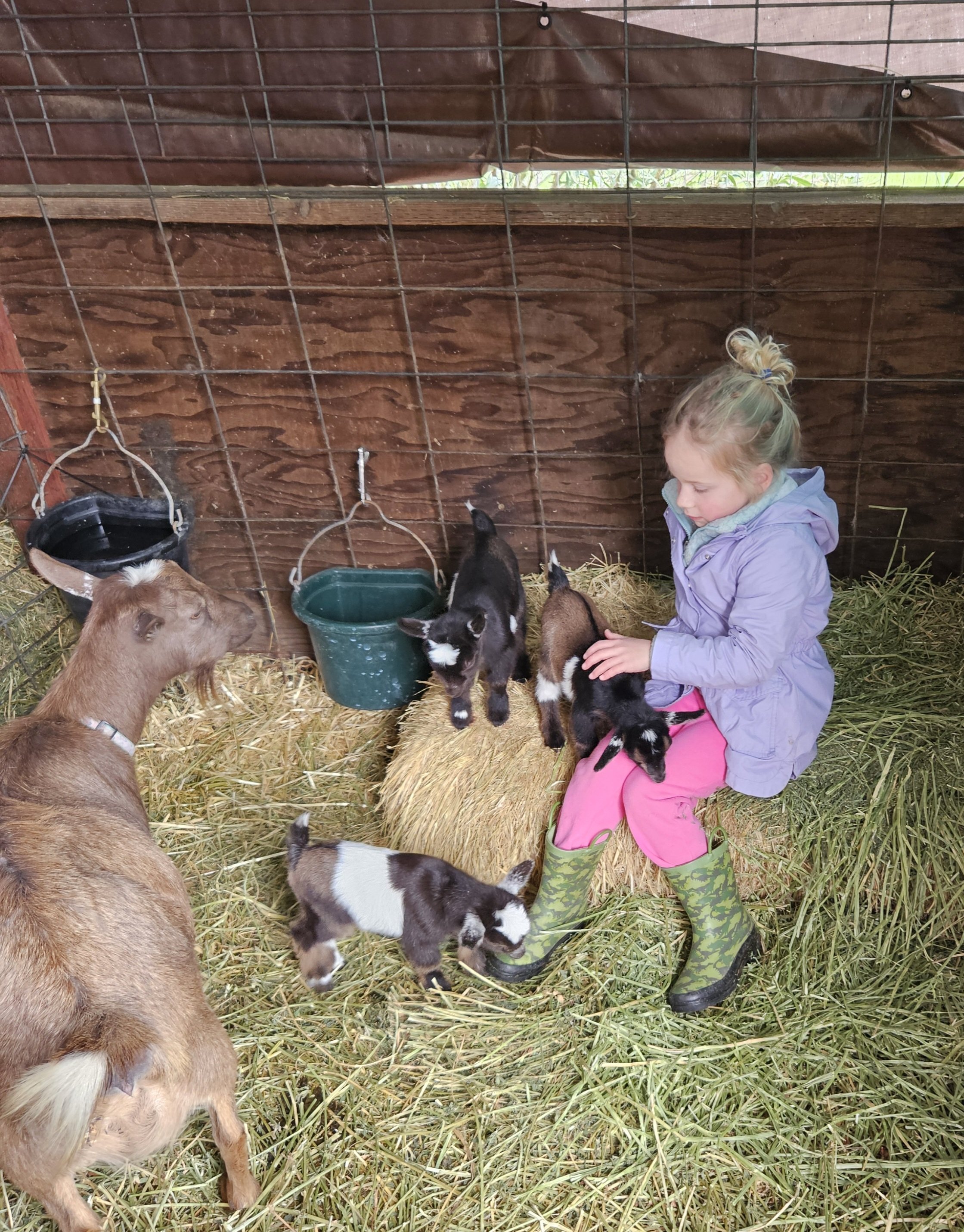 Kids get introduced to each other