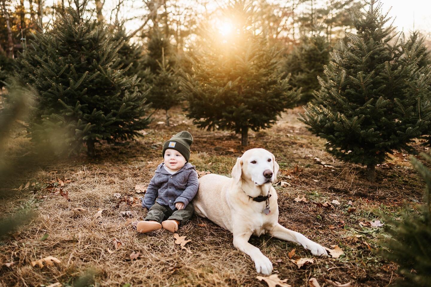 All galleries have been delivered!!! FEELS GOOOOOD 🌲. Back at it this weekend for a few more but will be enjoying my 0 editing backlog for these next 20 hours. How cute are these two?! What&rsquo;s everyone up to this weekend? #cjkeysphotos
.
.
.

#