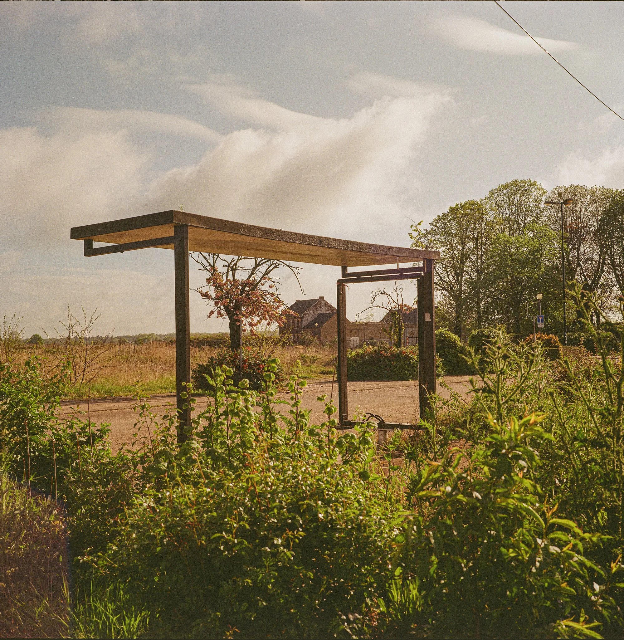 2026_Manheim-Mamiya6-Gold200-1-00003 Kopie.jpg