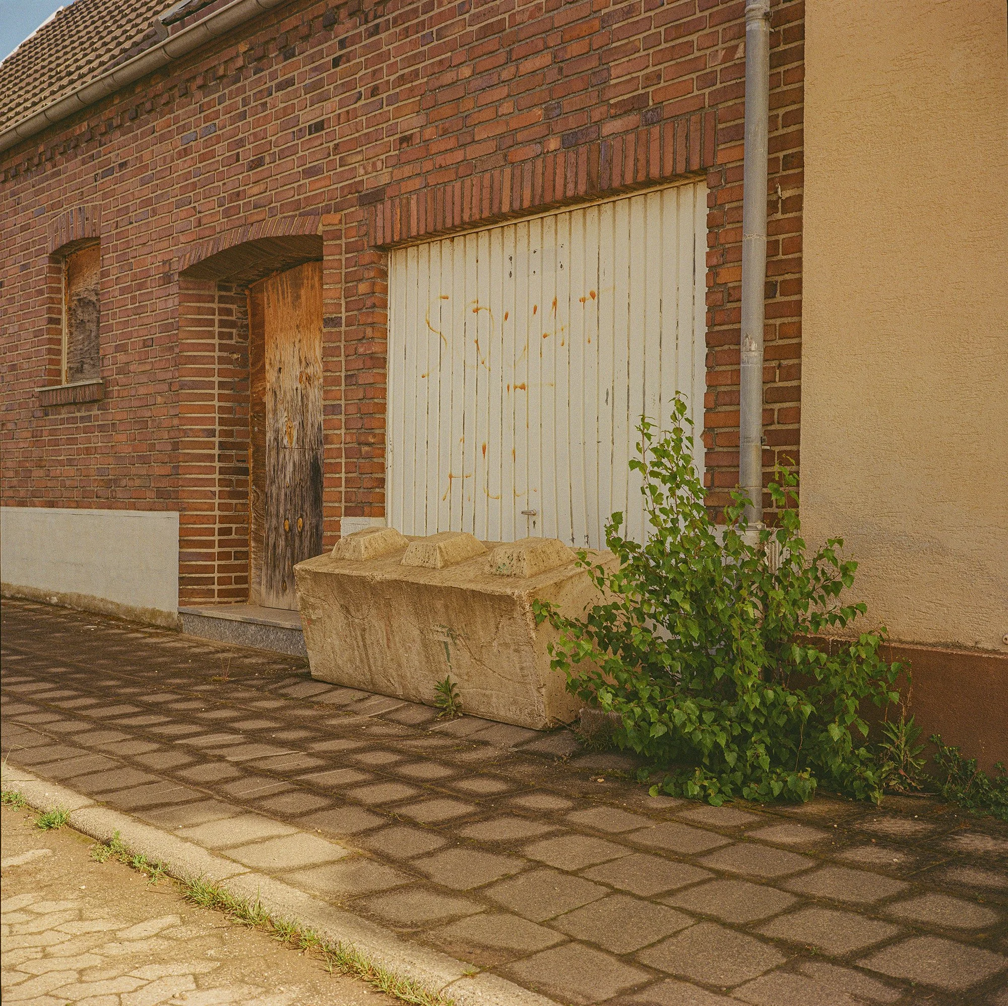2026_Manheim-Mamiya6-Gold200-1-00008 Kopie.jpg