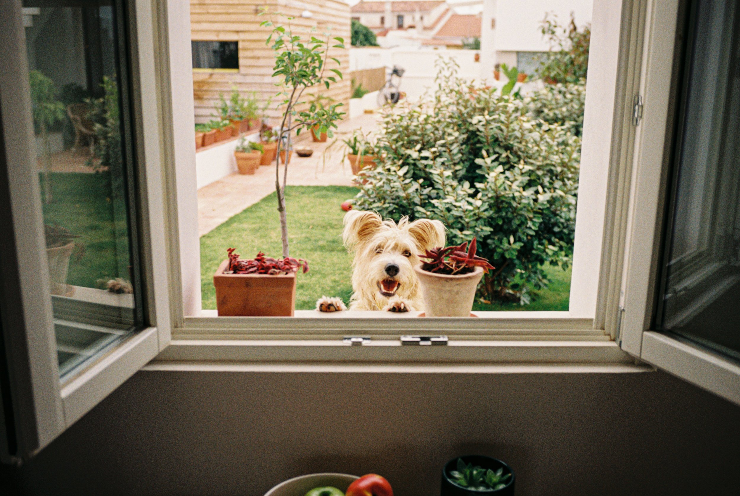 R1-02247-015A.jpeg