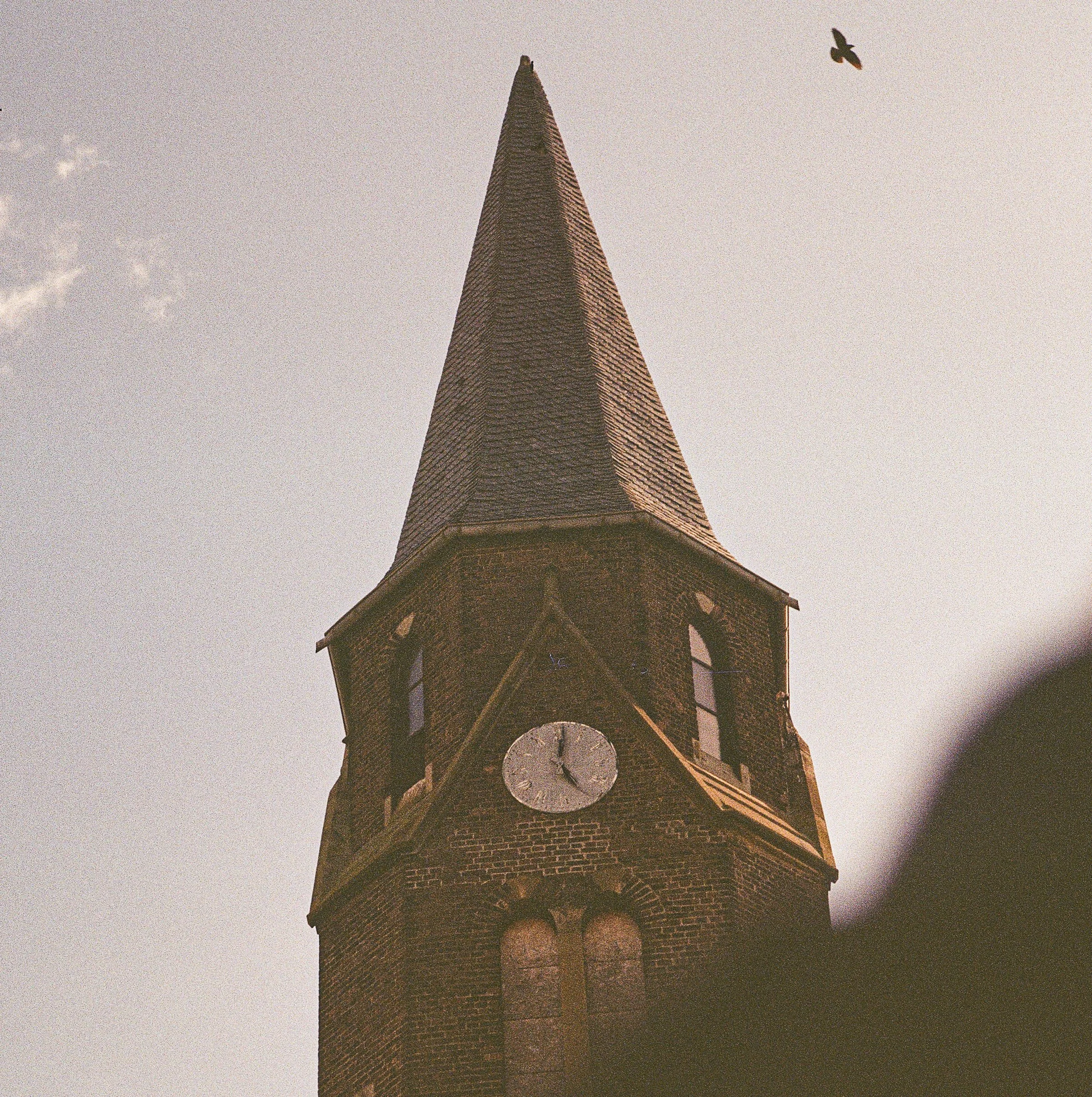 2026_Manheim-Mamiya6-Gold200-2-00010.jpg