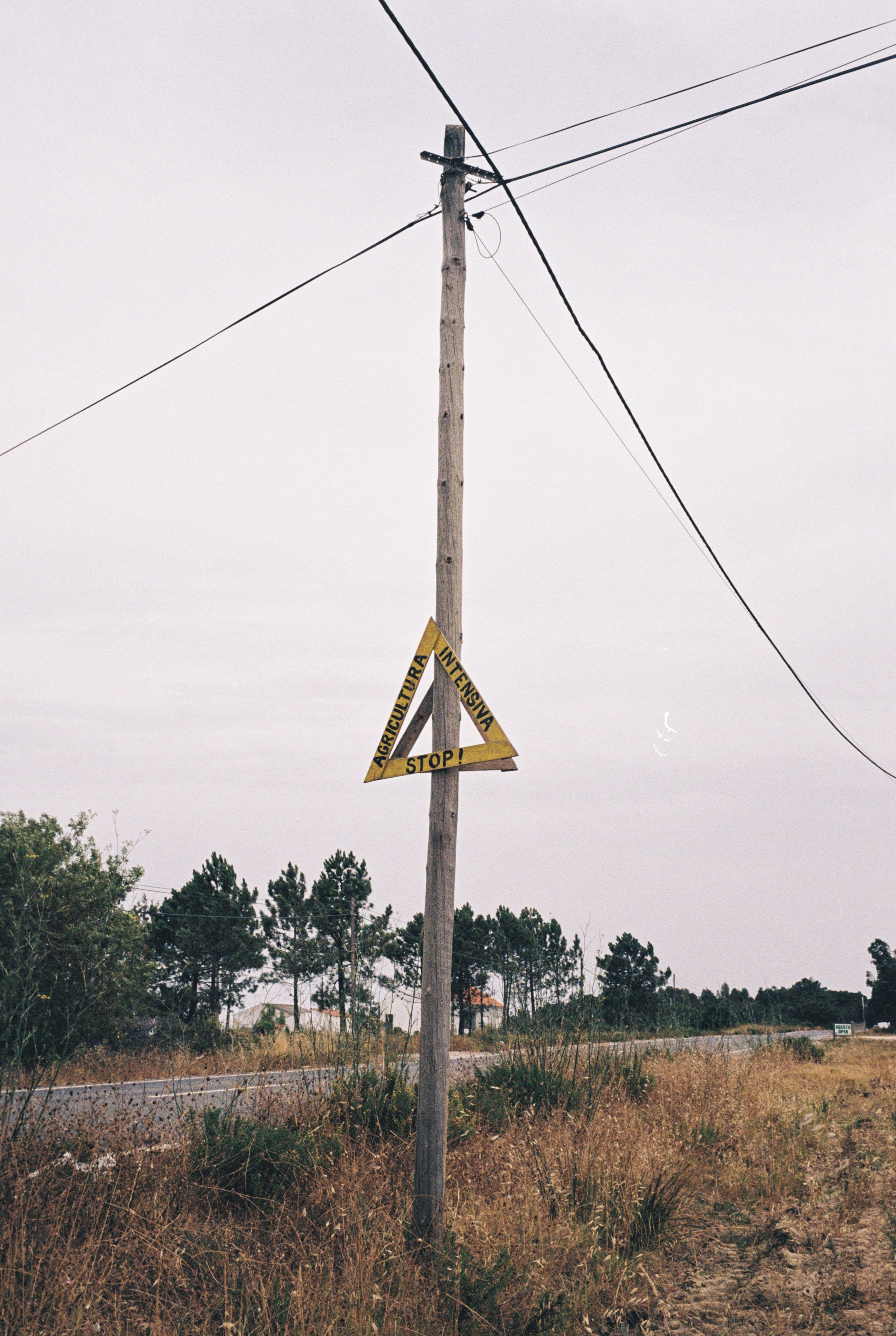 R1-02247-020A.jpg