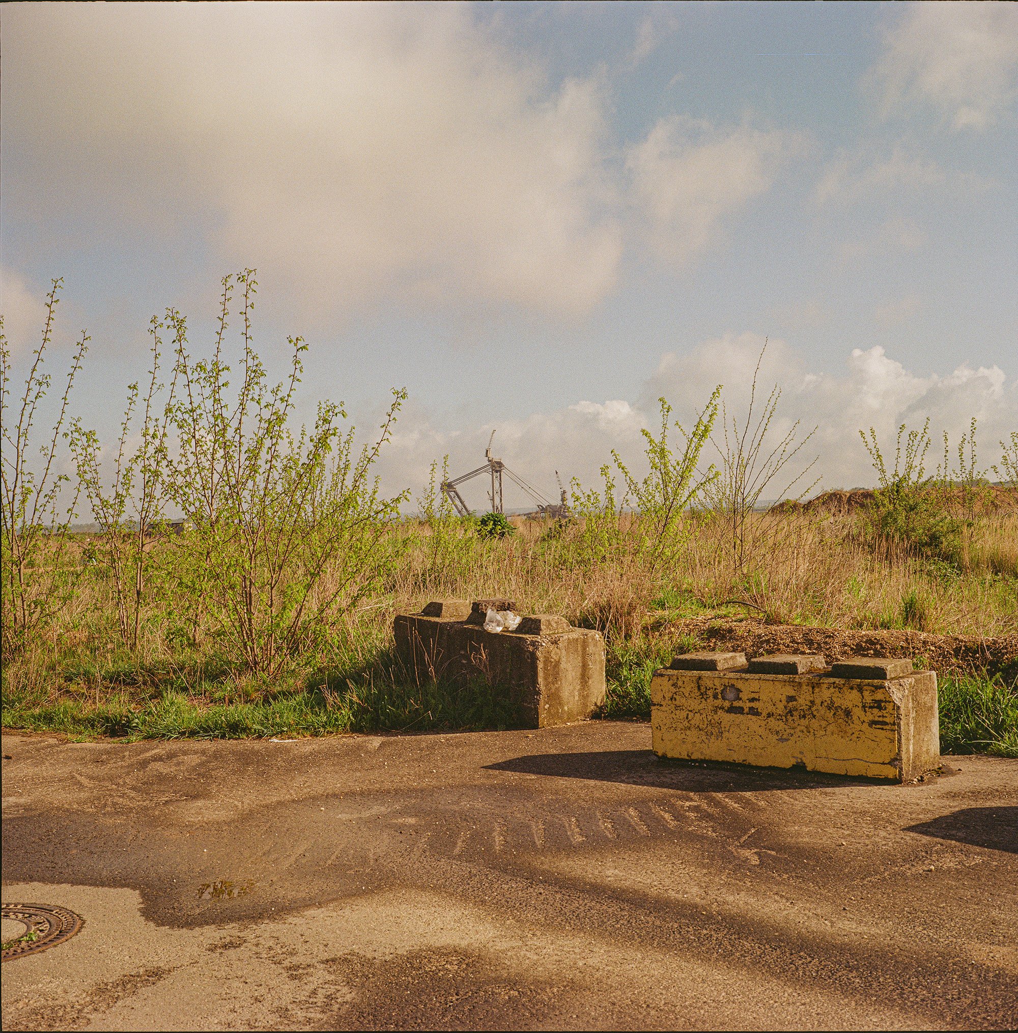 2026_Manheim-Mamiya6-Gold200-1-00004 Kopie.jpg
