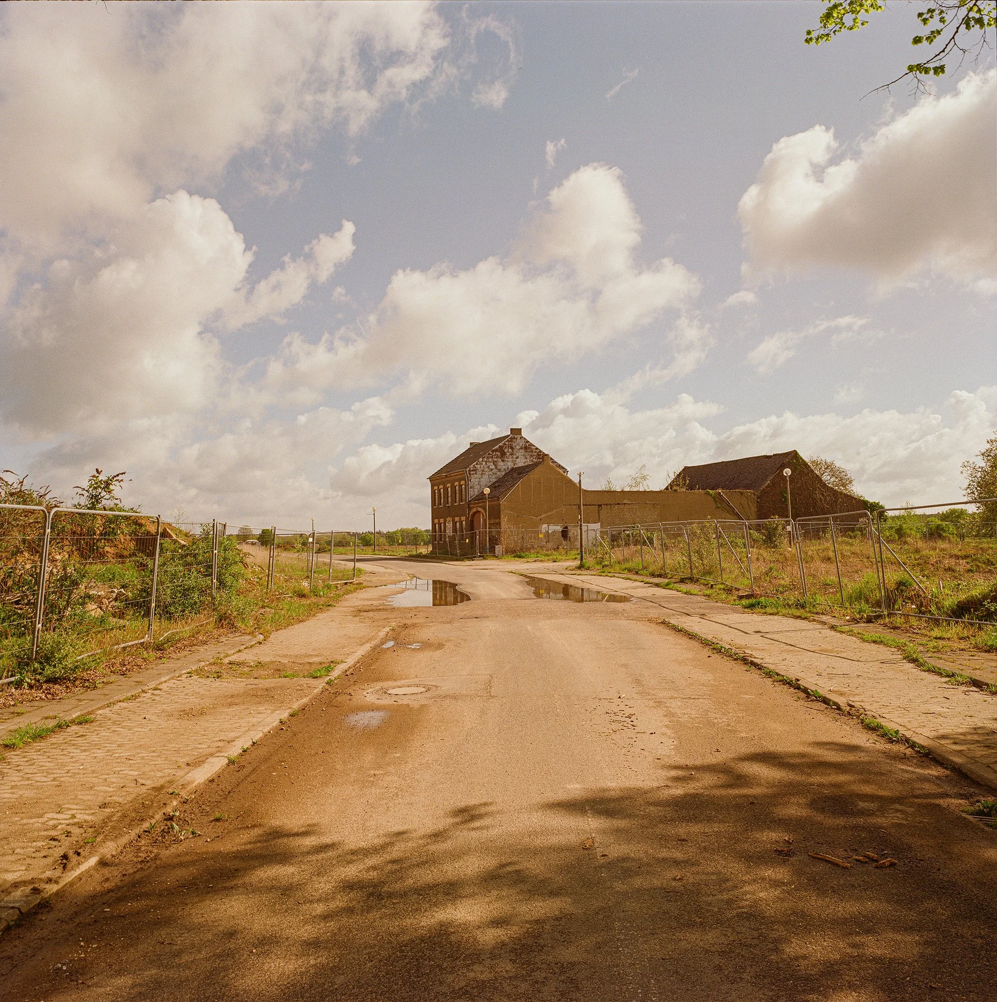 2026_Manheim-Mamiya6-Gold200-2-00007 Kopie.jpg