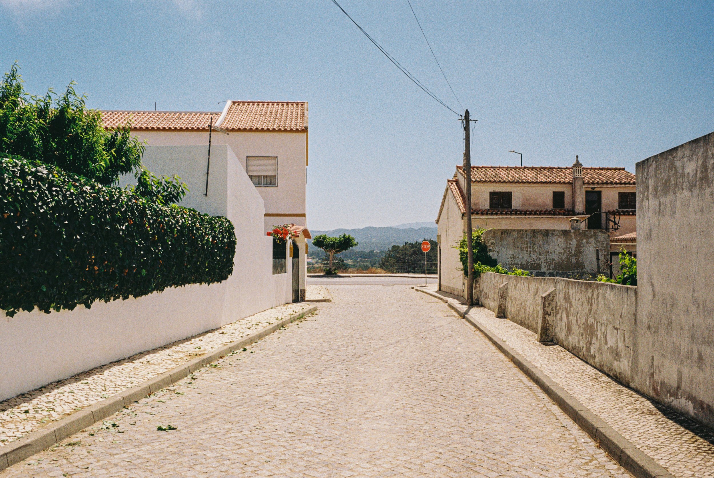 R1-02244-020A.jpeg
