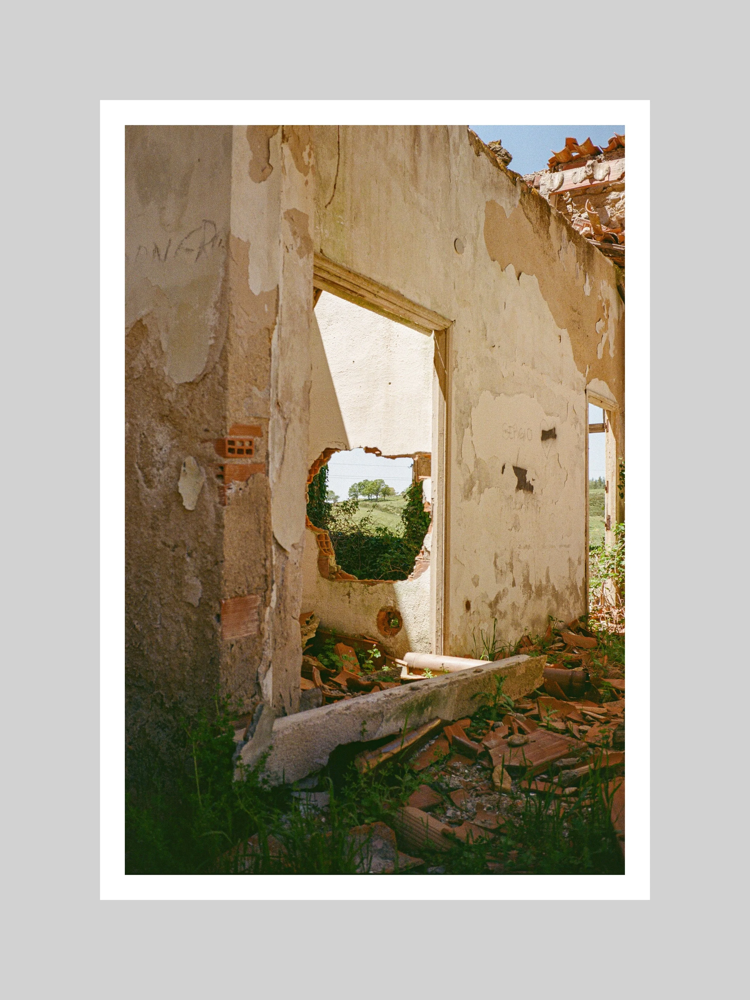 In the Line of Sight – Fine Art Print