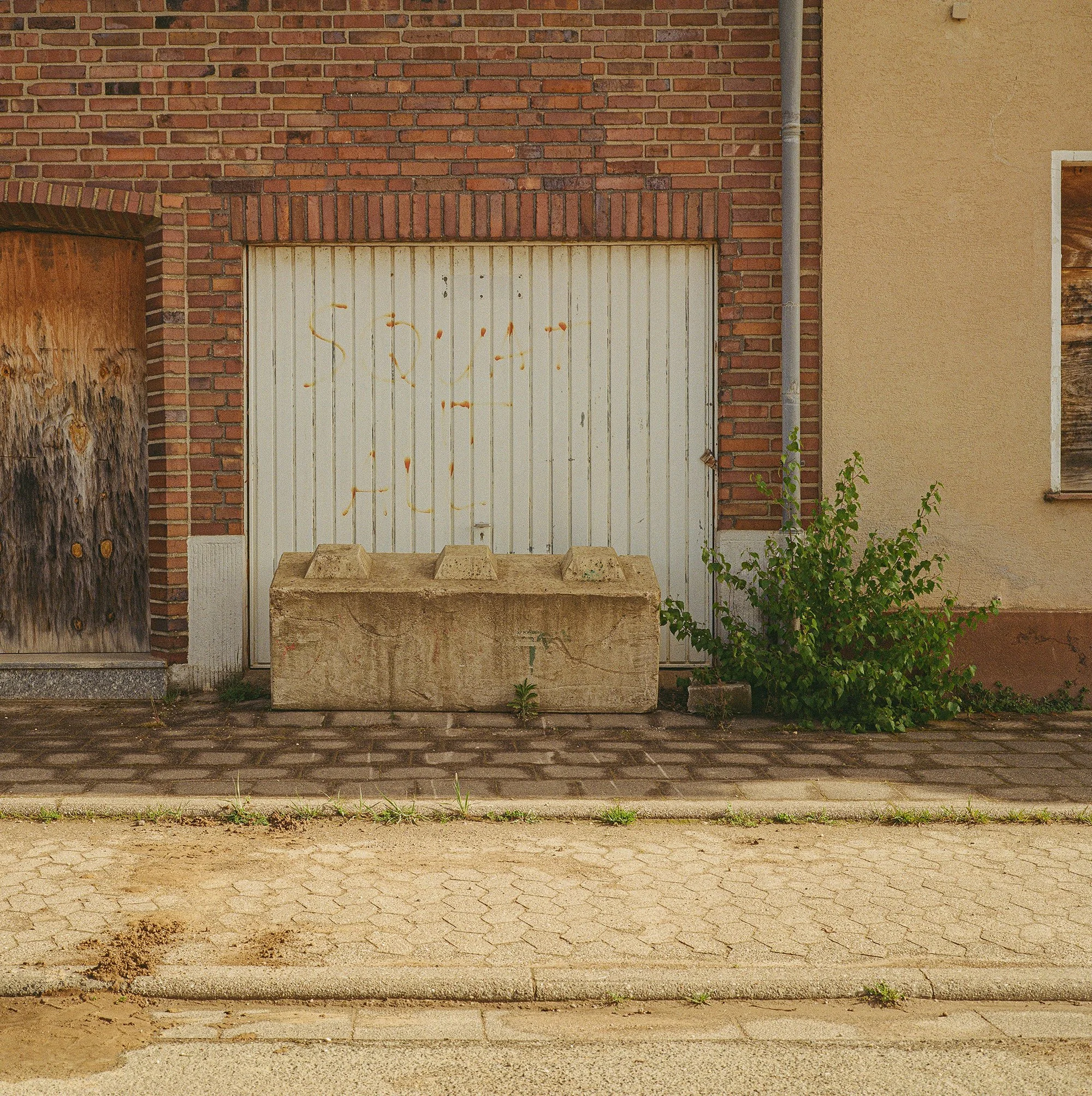2026_Manheim-Mamiya6-Gold200-1-00009-2.jpg