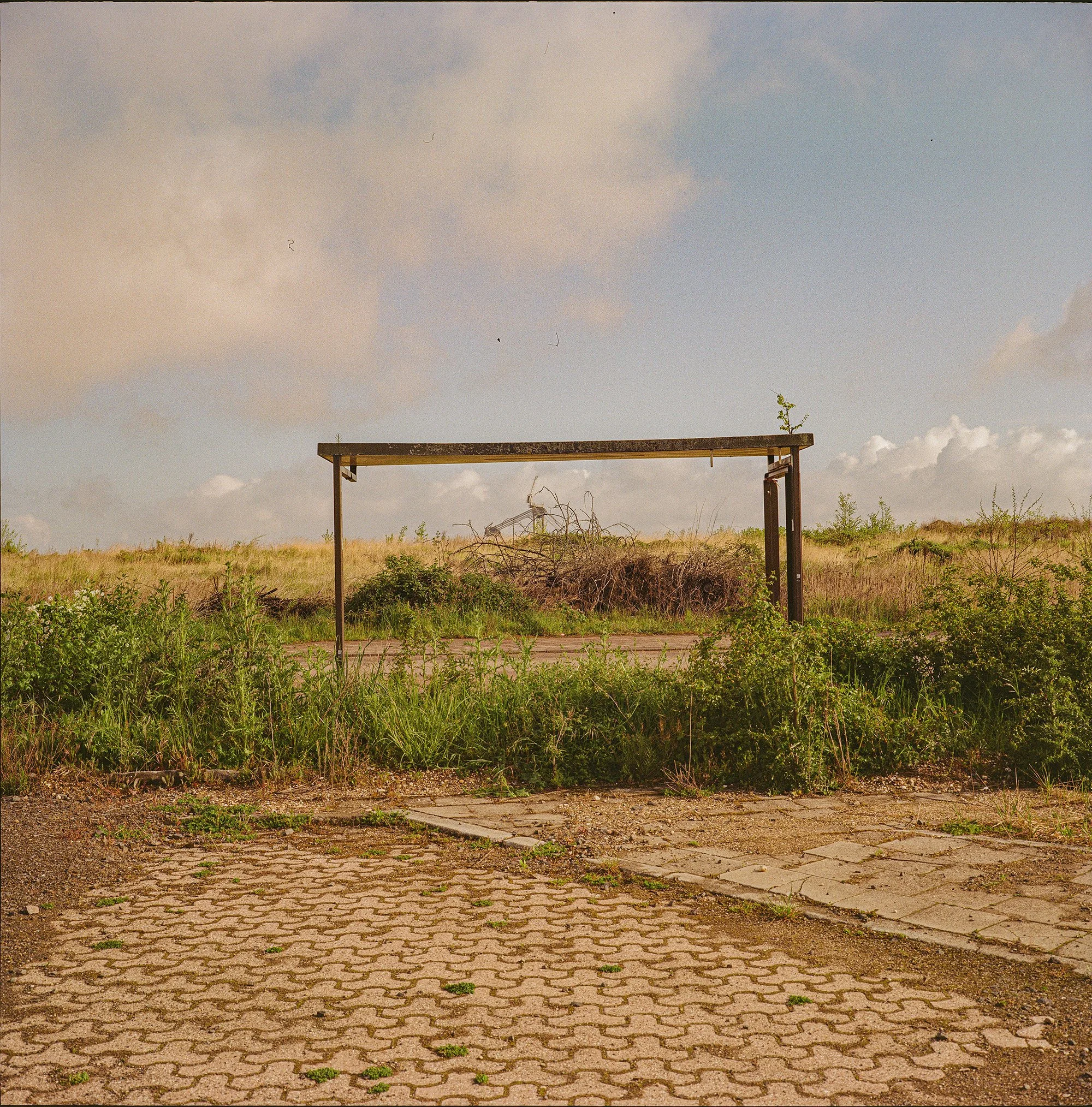 2026_Manheim-Mamiya6-Gold200-1-00002 Kopie.jpg