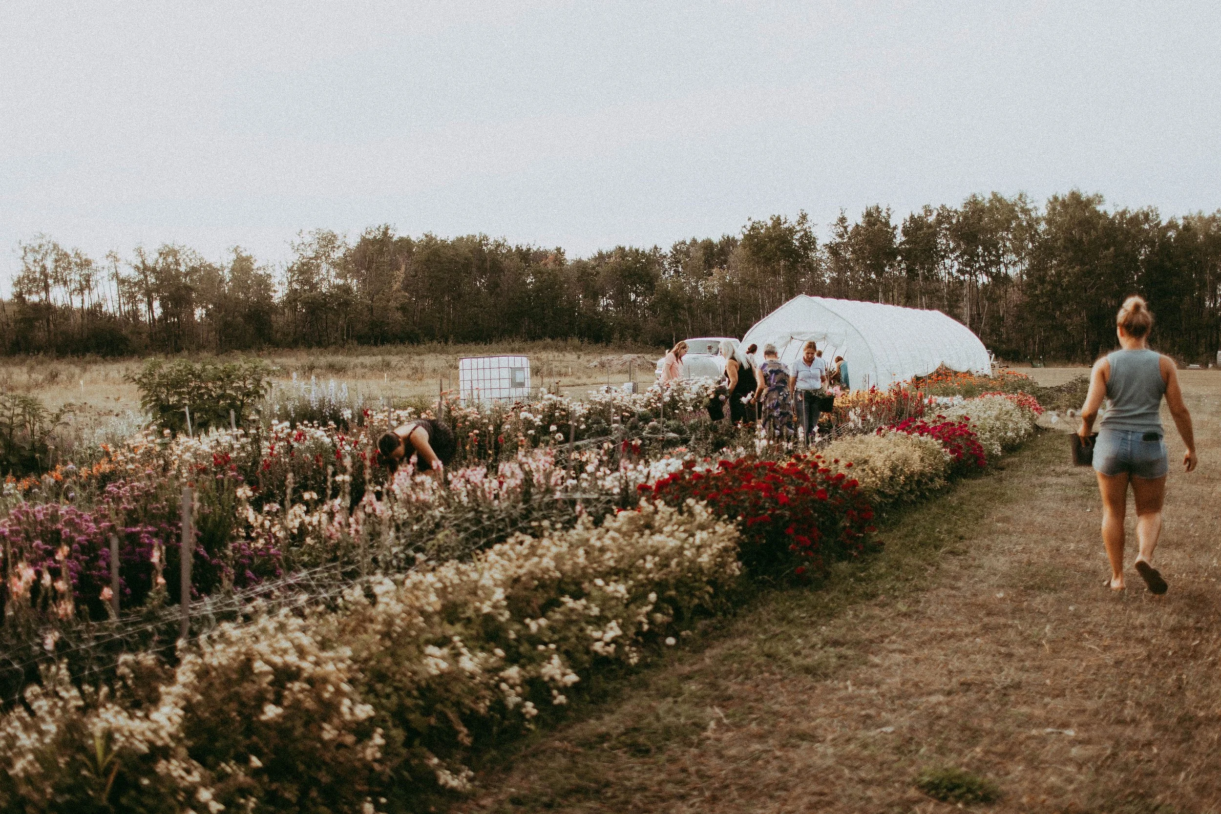 Alberta Open Farm Days