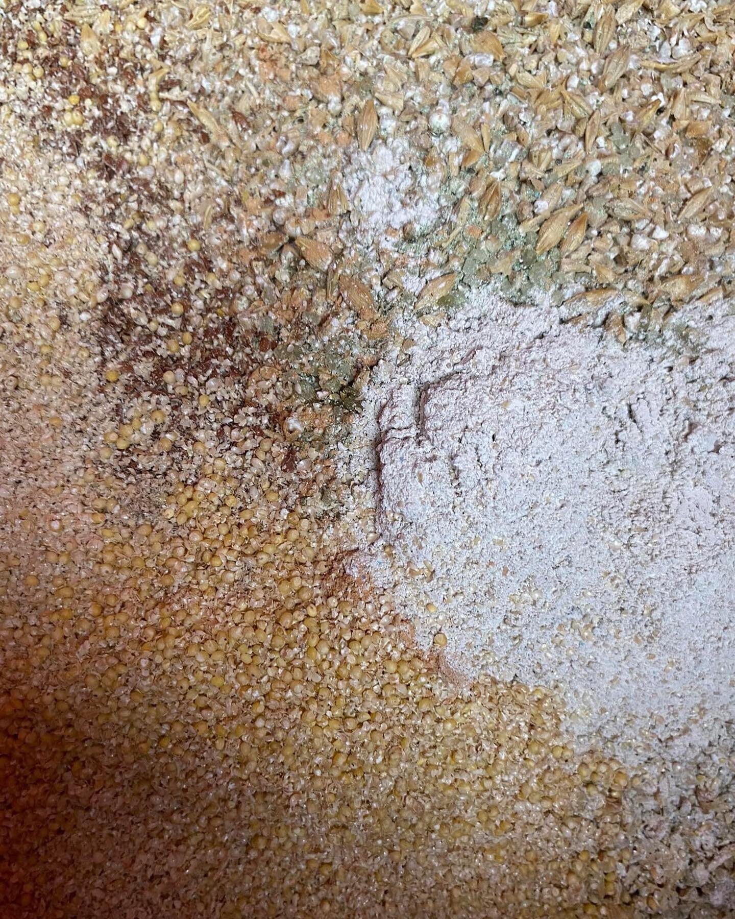 Those interested in Southern Equine Nutritional Consultation, watch this space&hellip;. 

I&rsquo;m almost ready 😉