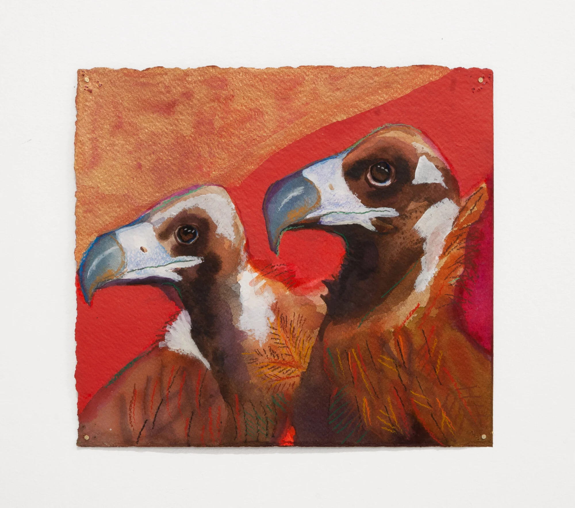 Karen Heagle, Two Monk Vultures, 2021,  acrylic, ink, watercolor, and colored pencil on paper, 10” x 12”