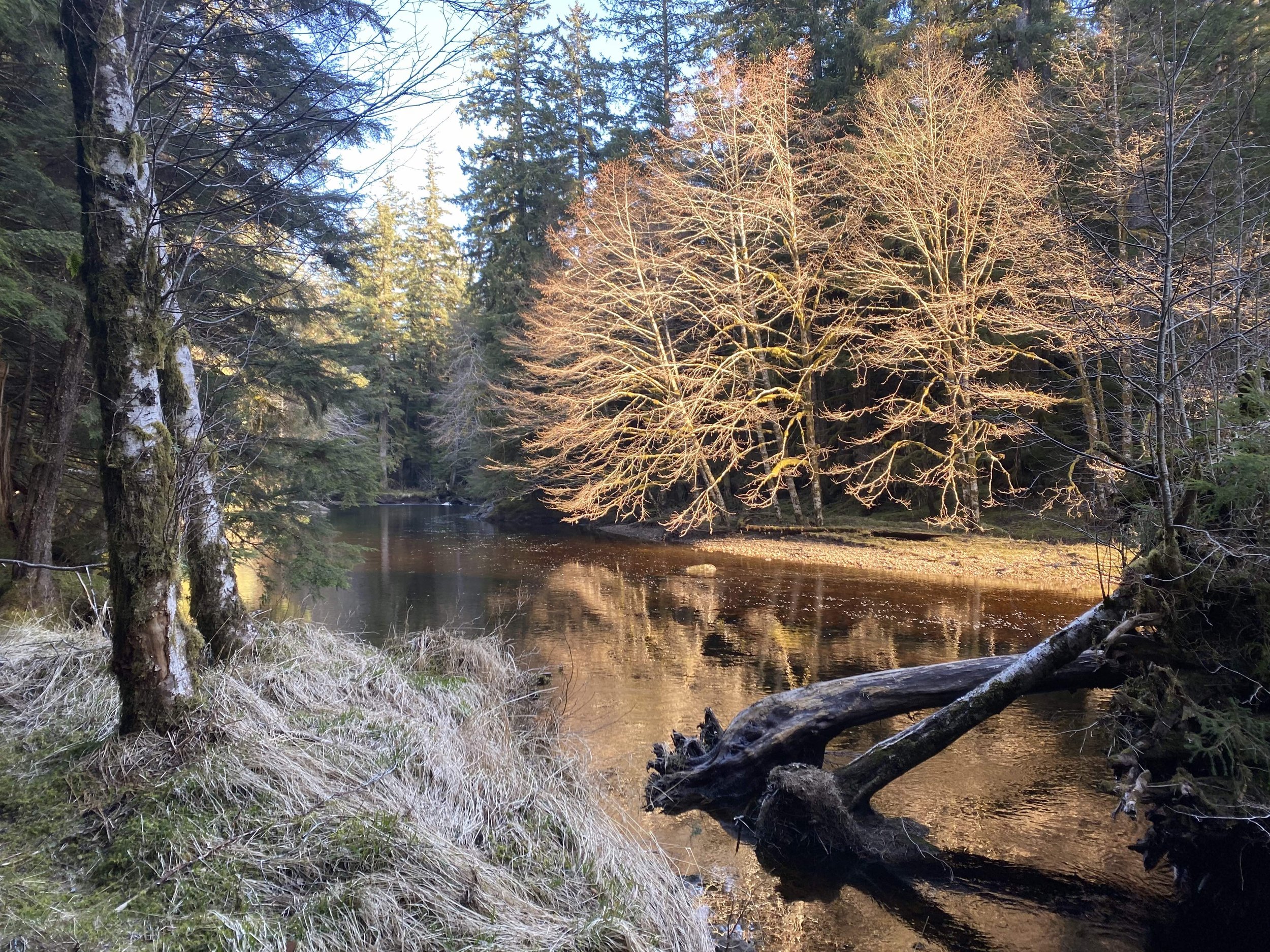 Spring Steelhead trip