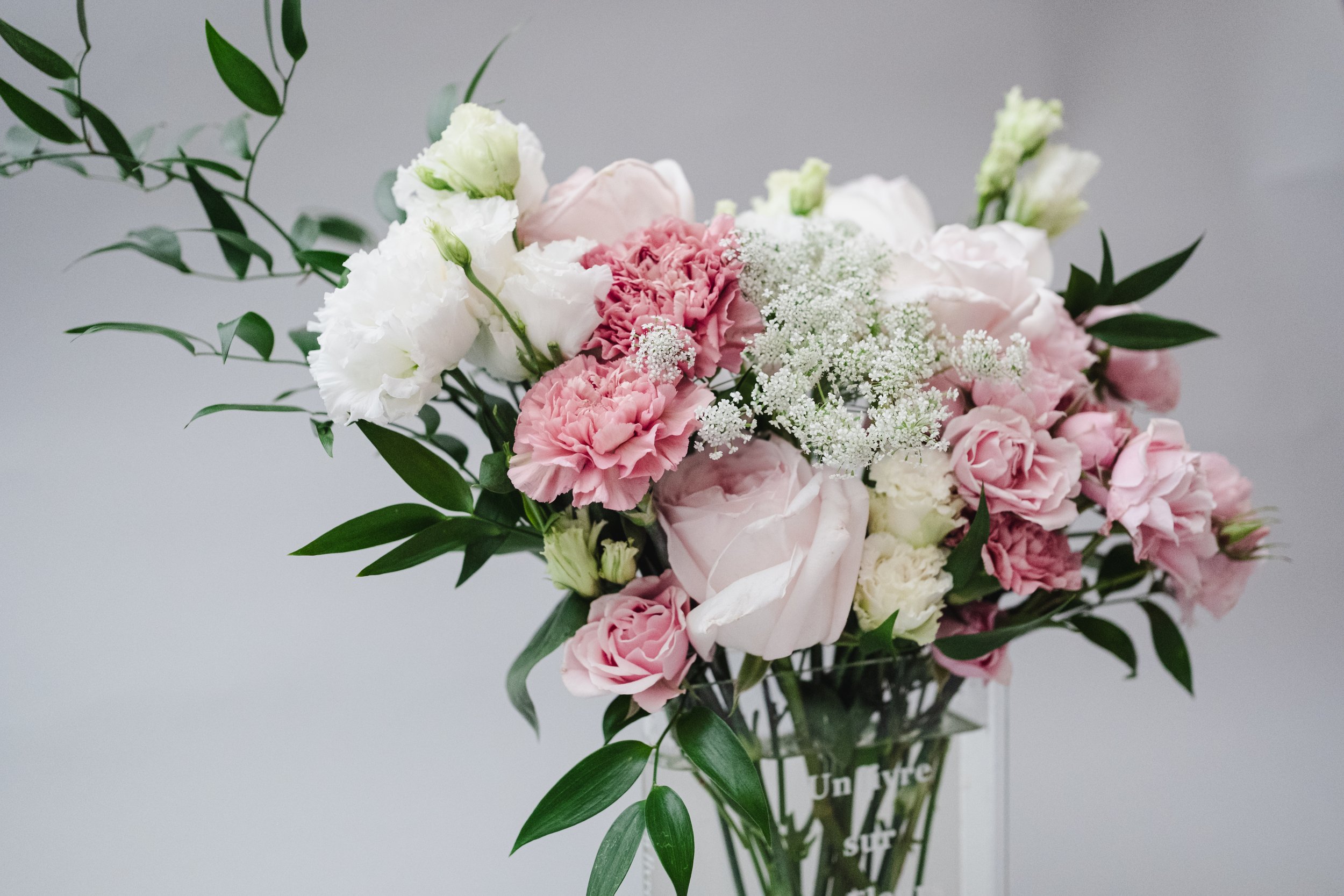 BPC_NZM_Valentine-10.jpg