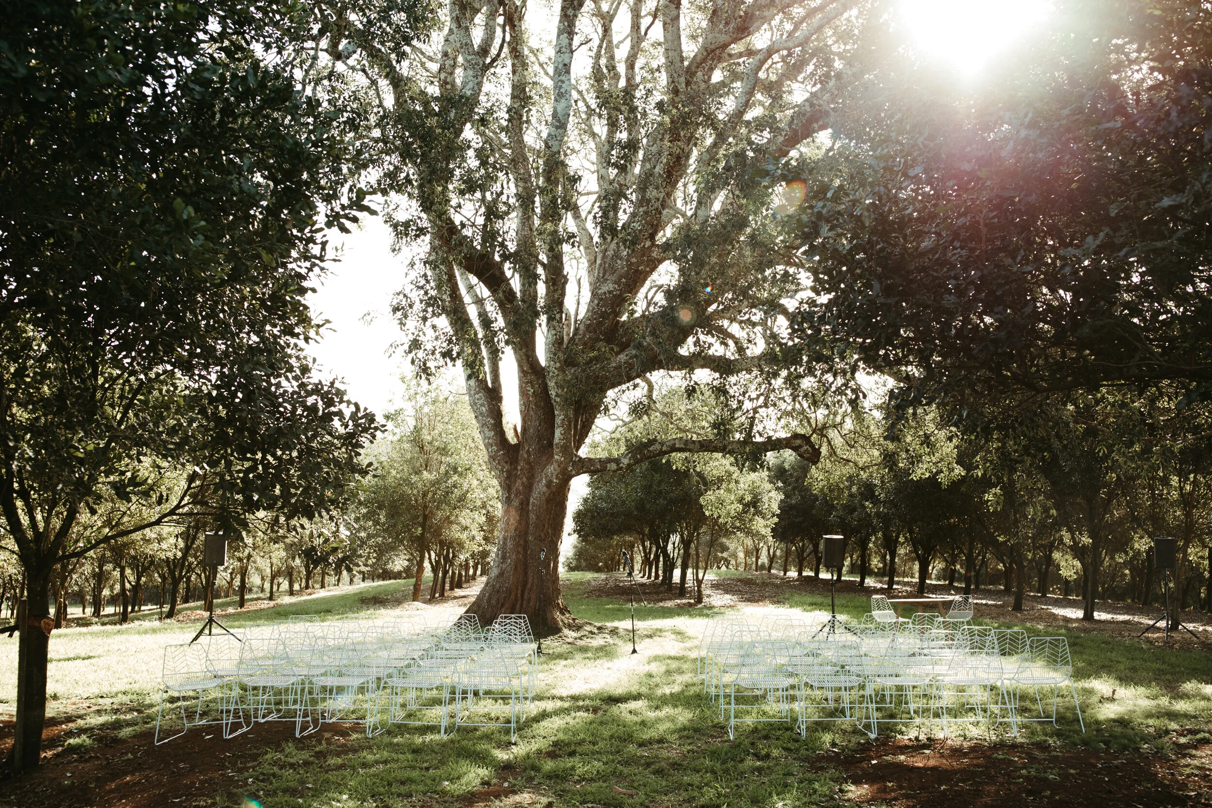 carly-tia-photography_the-orchard-estate020.jpg