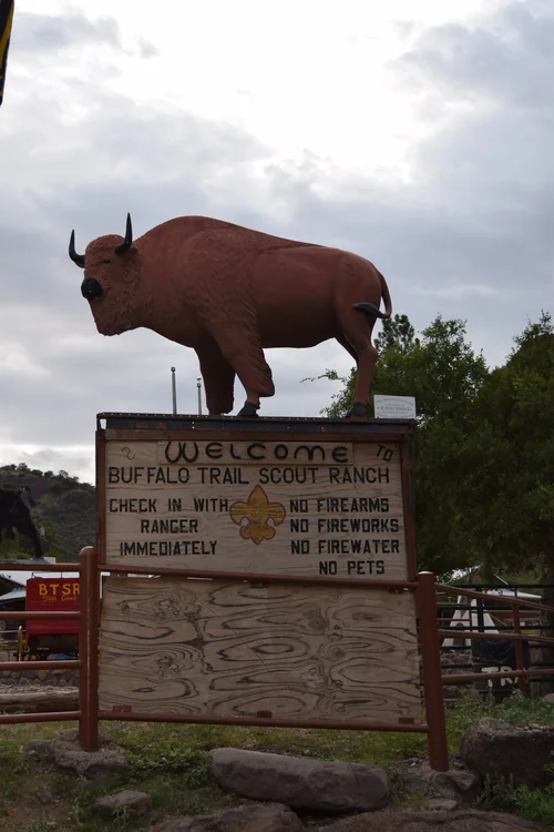 2019 Summer Camp Btsr Bsa Scouts Troop 650
