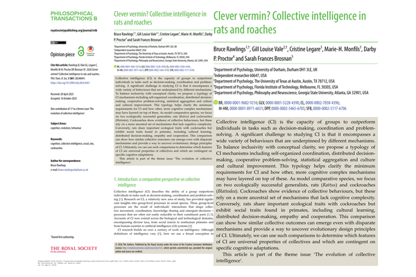 New Paper Compares Collective Intelligence in Rats and Roaches