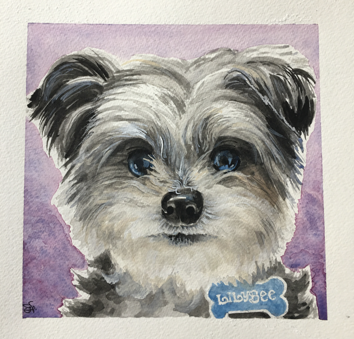 Screen Shot 2020-10-06 at 5.06.55 PM.png