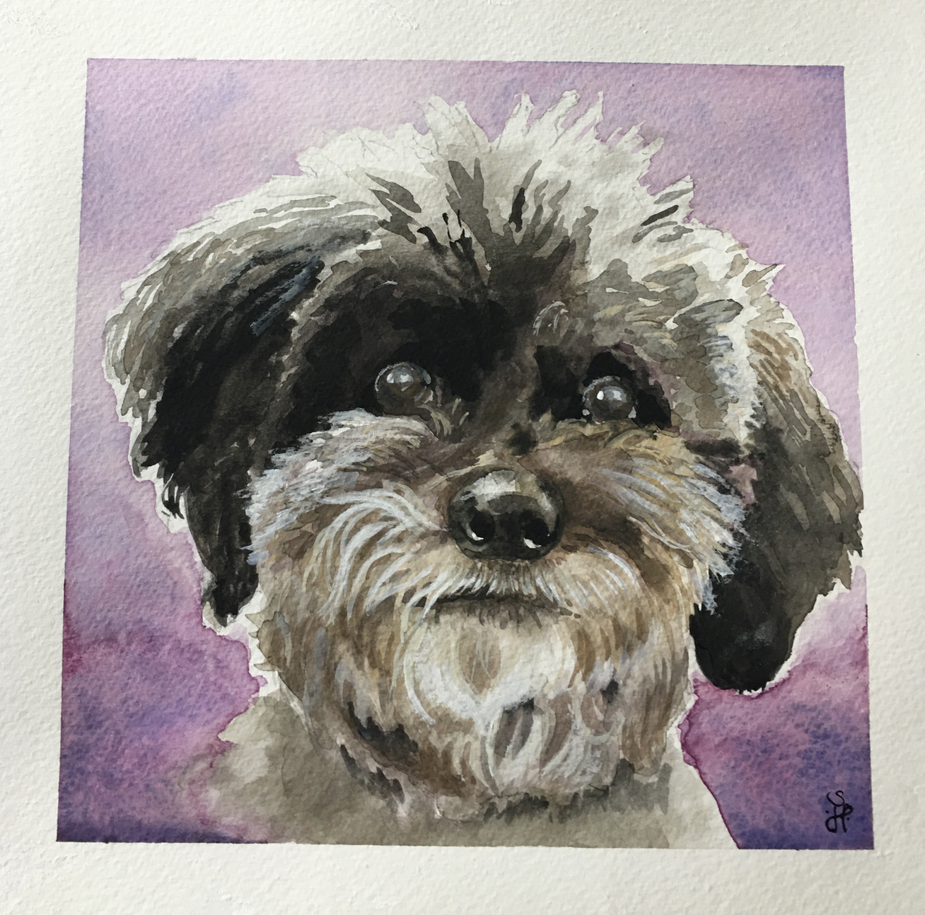 Screen Shot 2020-10-06 at 5.09.03 PM.png