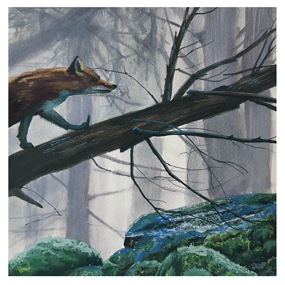 Forest Fox Print
