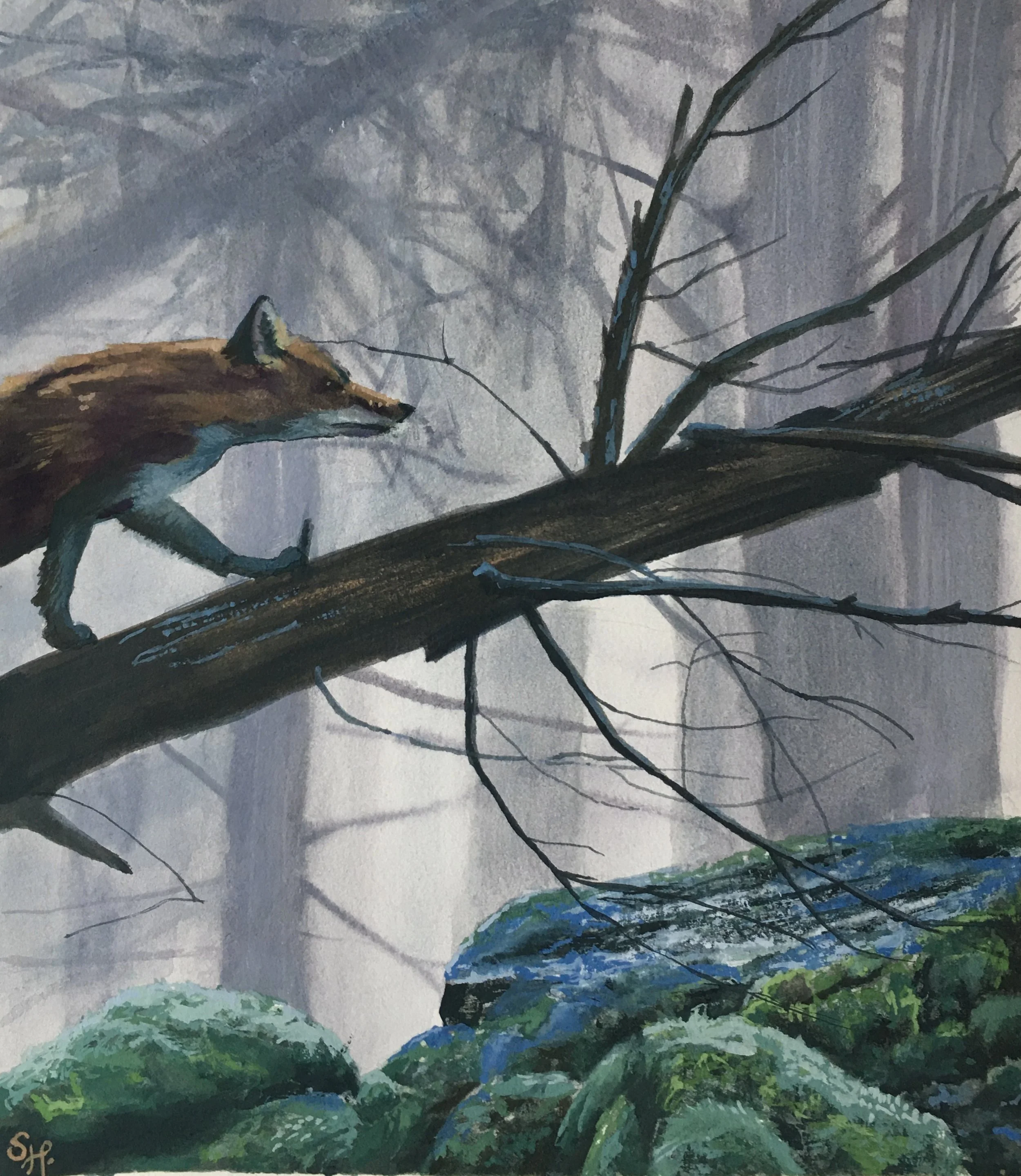Forest Fox Print