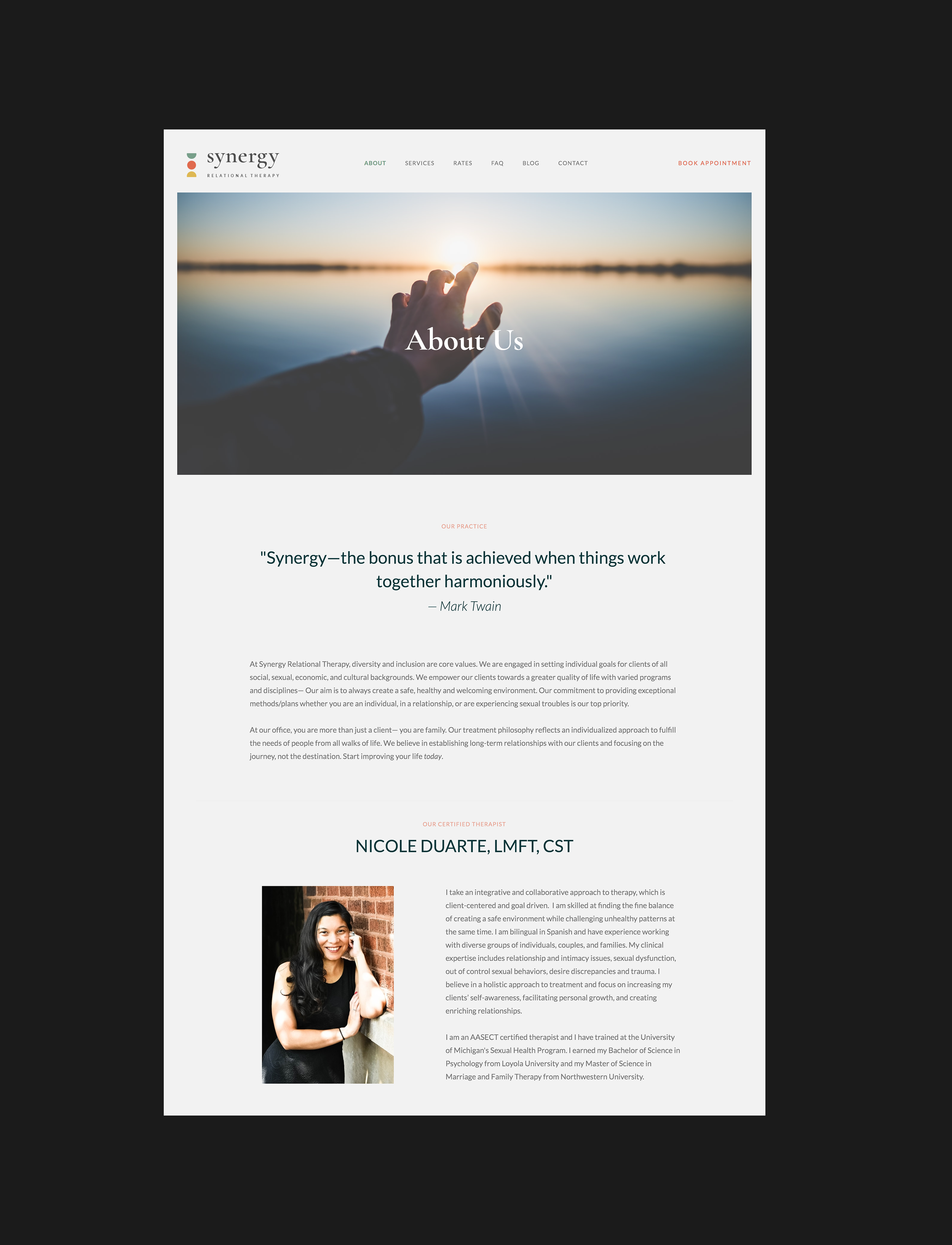 SynergyWebsiteAbout.png