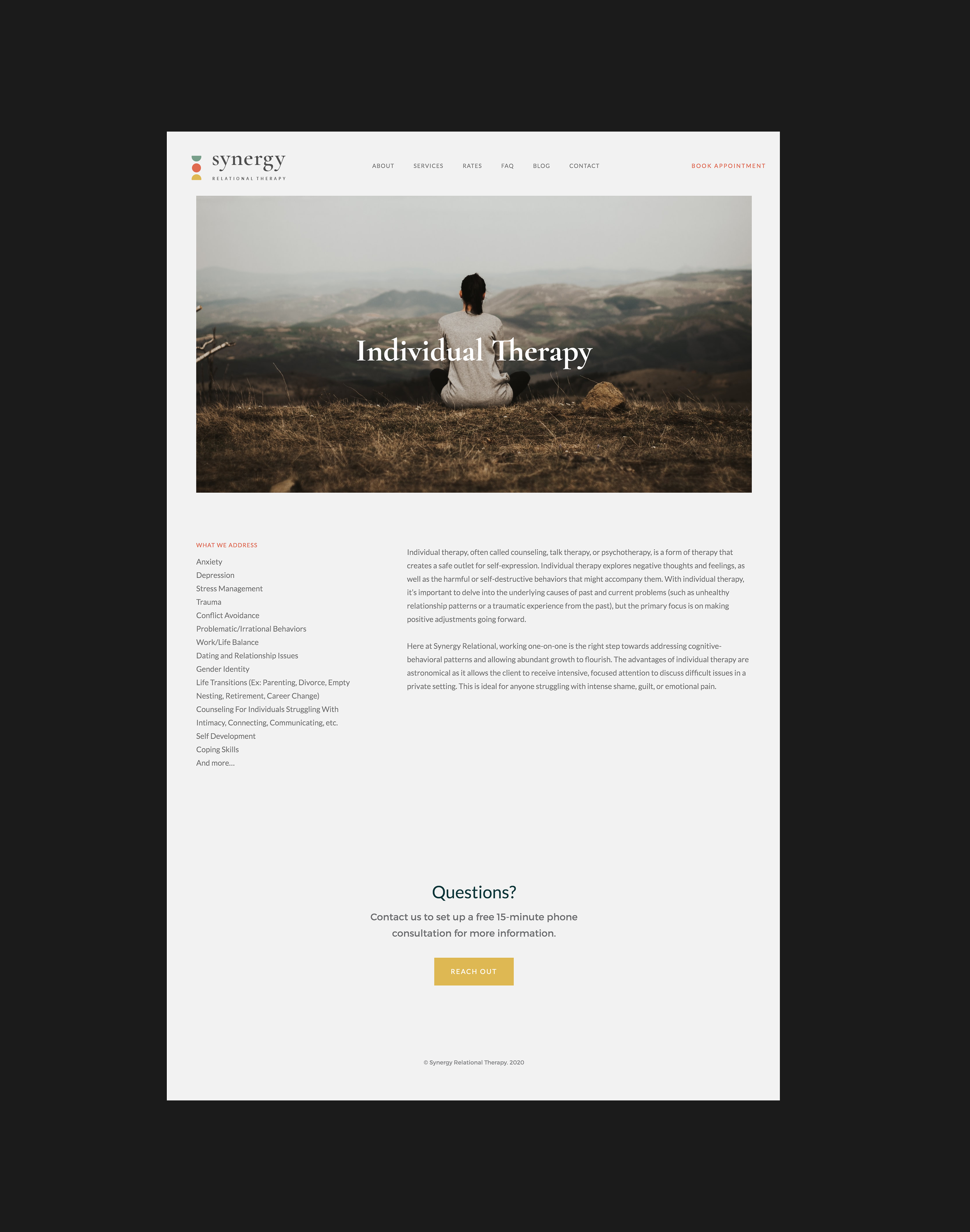 SynergyWebsiteIndividual.png