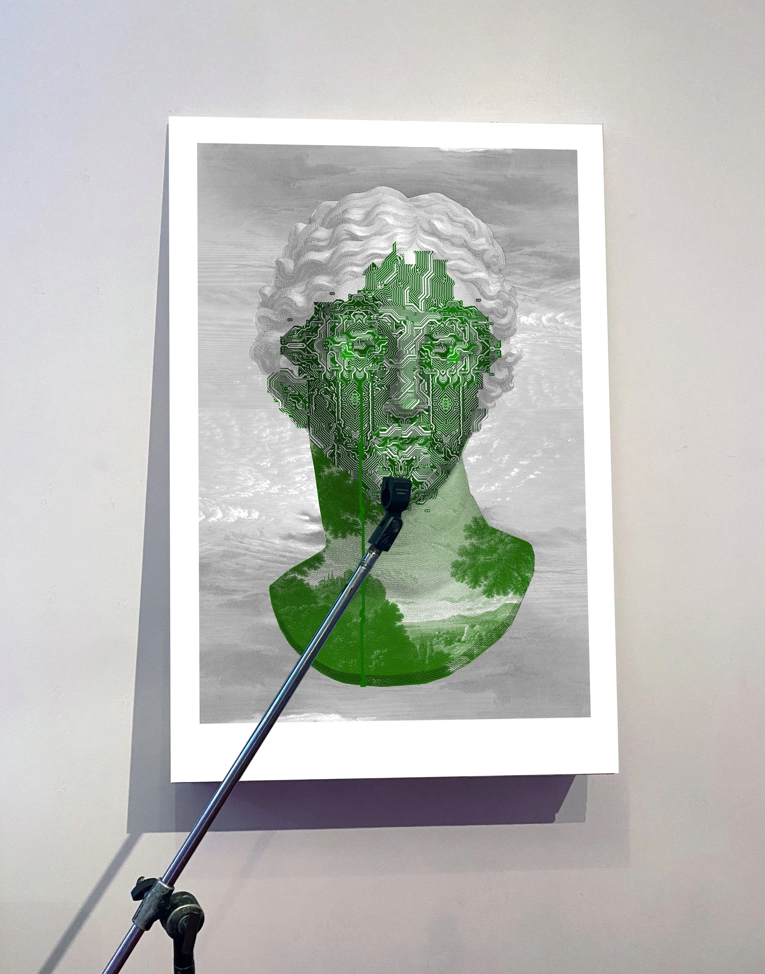 green head mic_crop.jpg