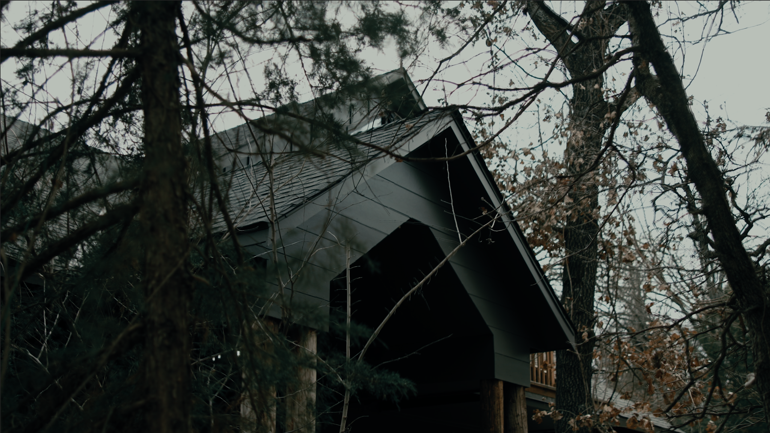 Screenshot 2024-06-23 at 3.54.03 AM.png