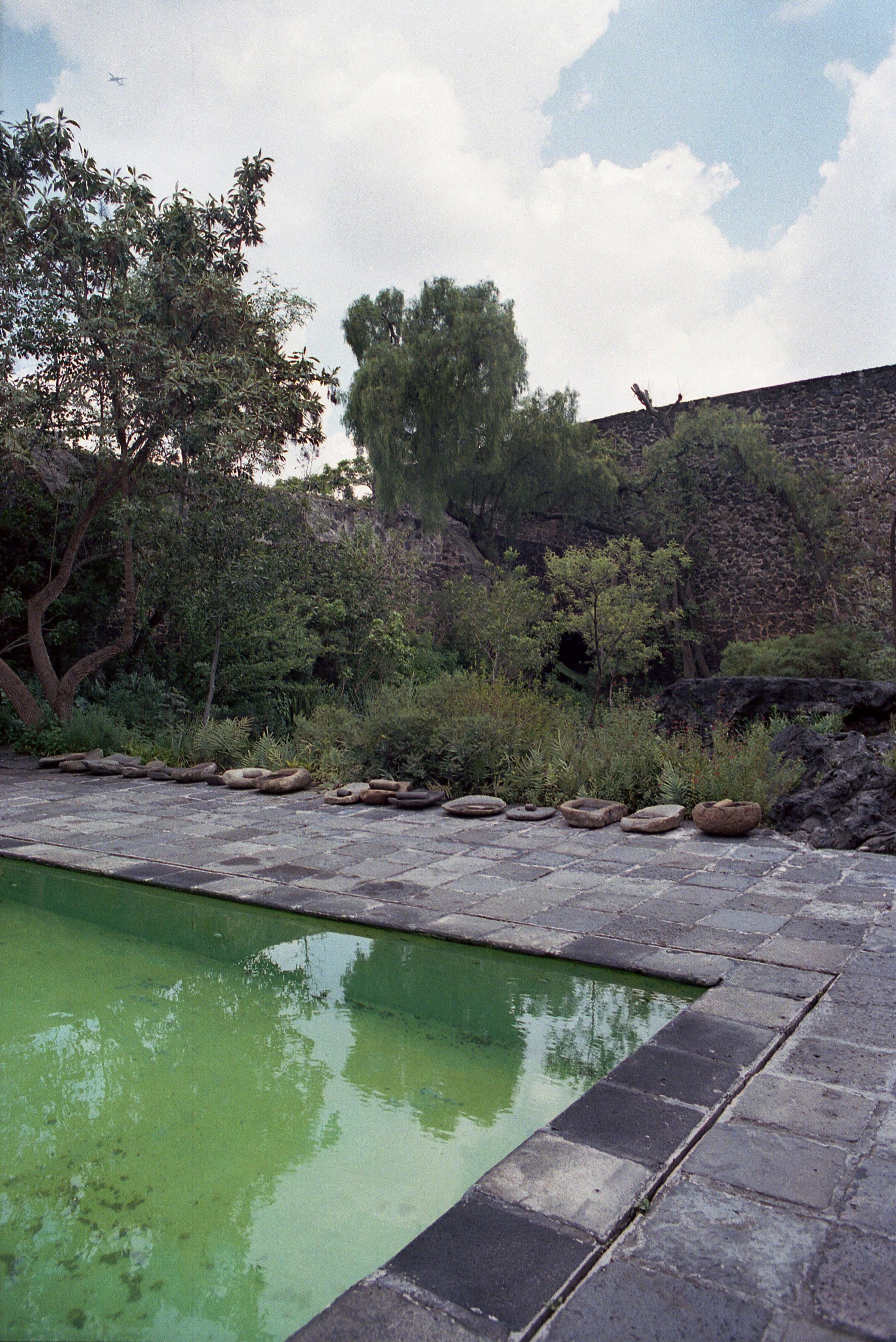 img20240716_09380853 copy.jpg