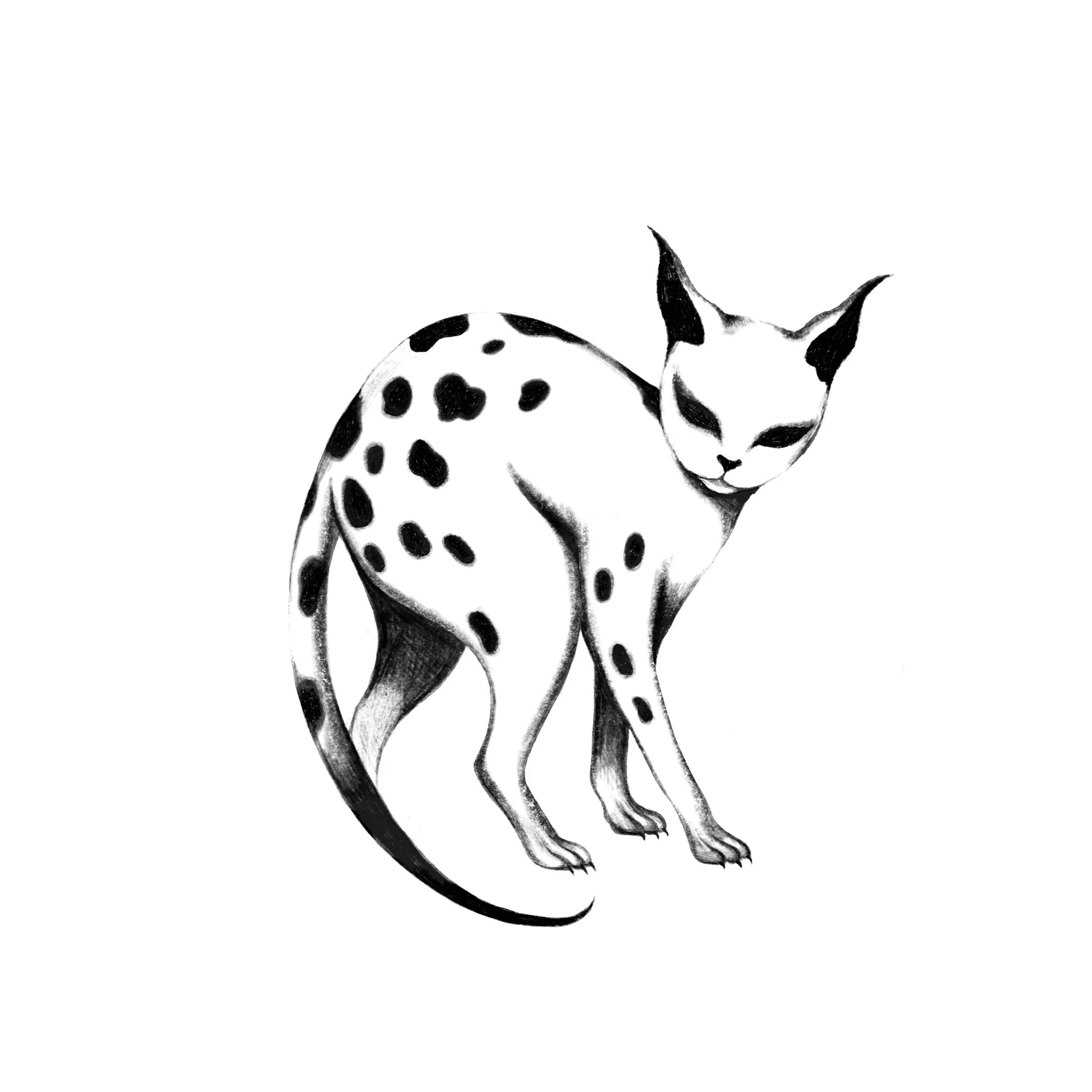 Spotty Cat 2. Price: $250