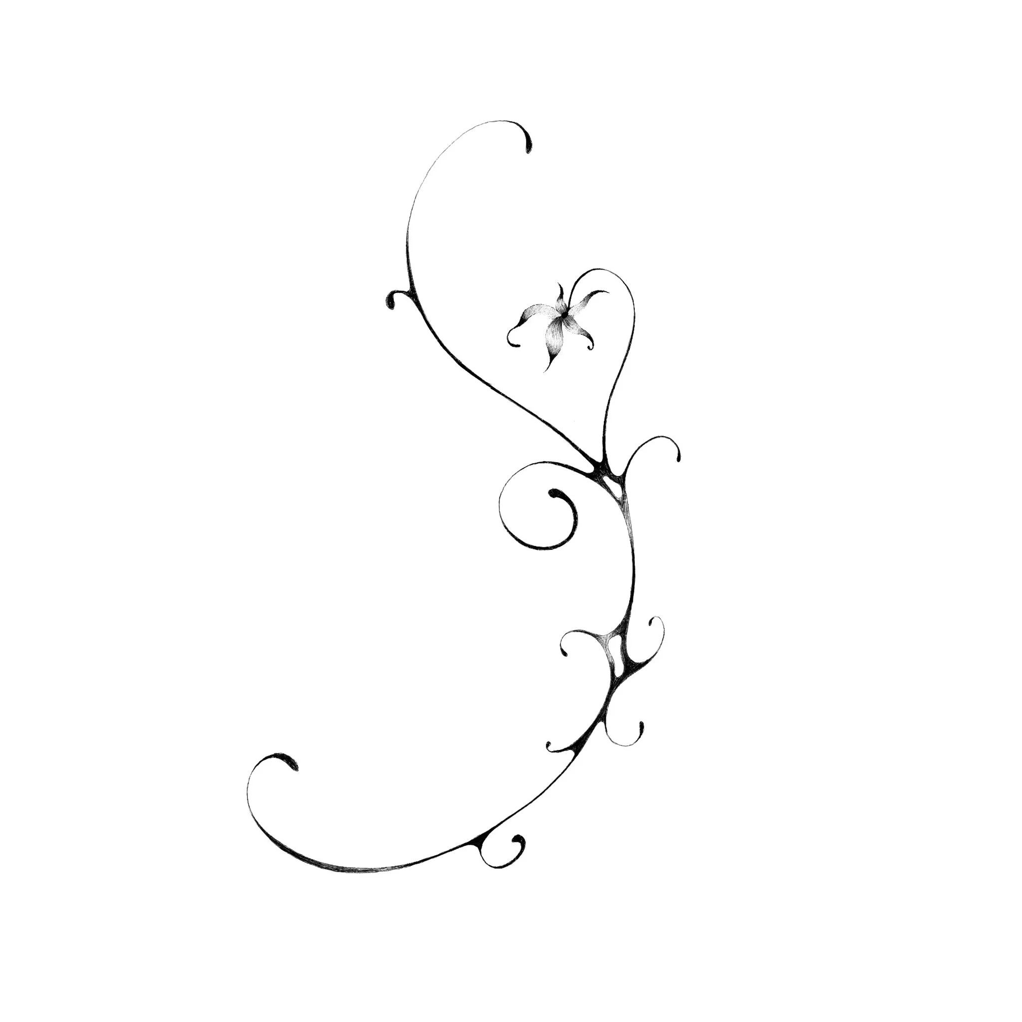 Flower 3. Price: $250