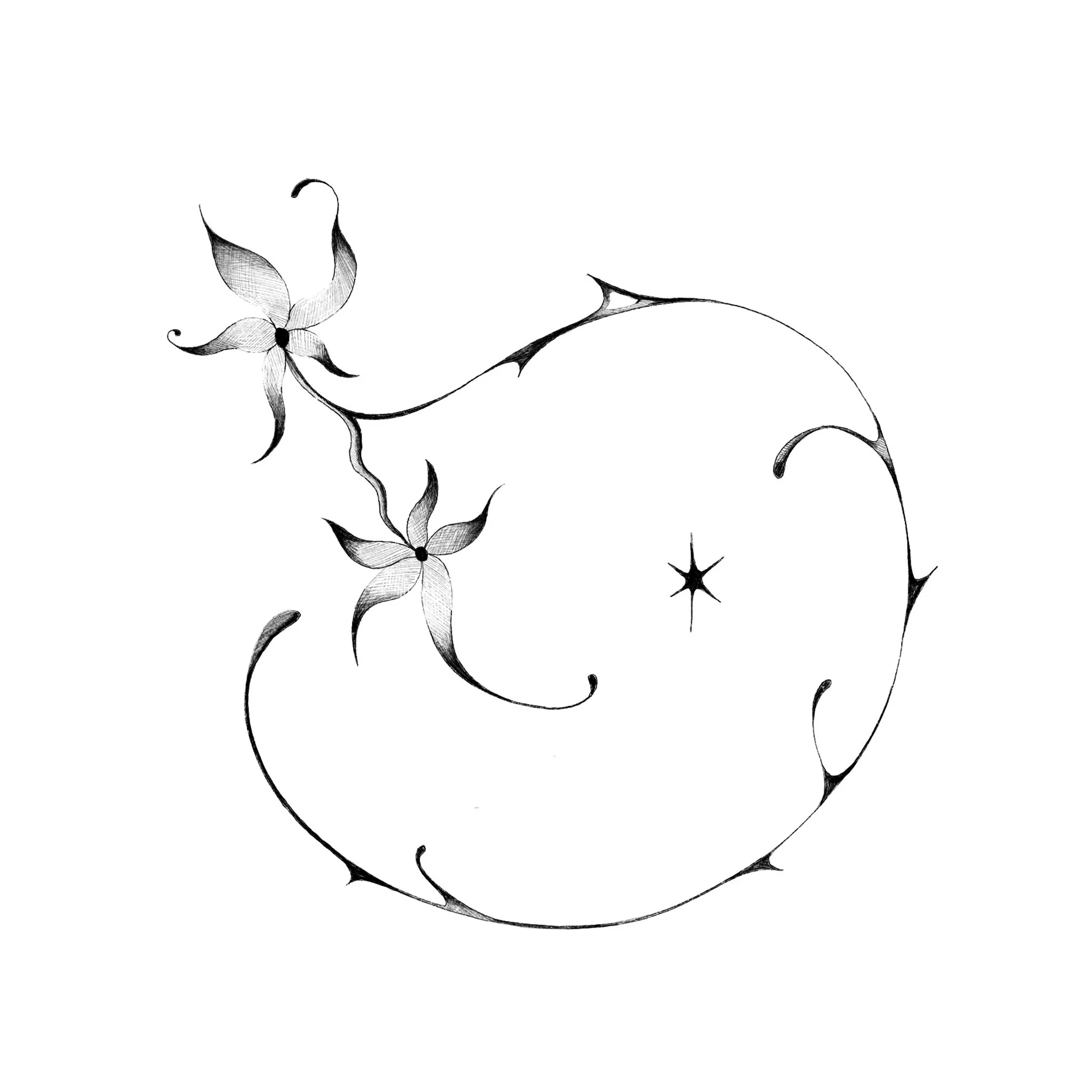 Flower 2. Price: $250