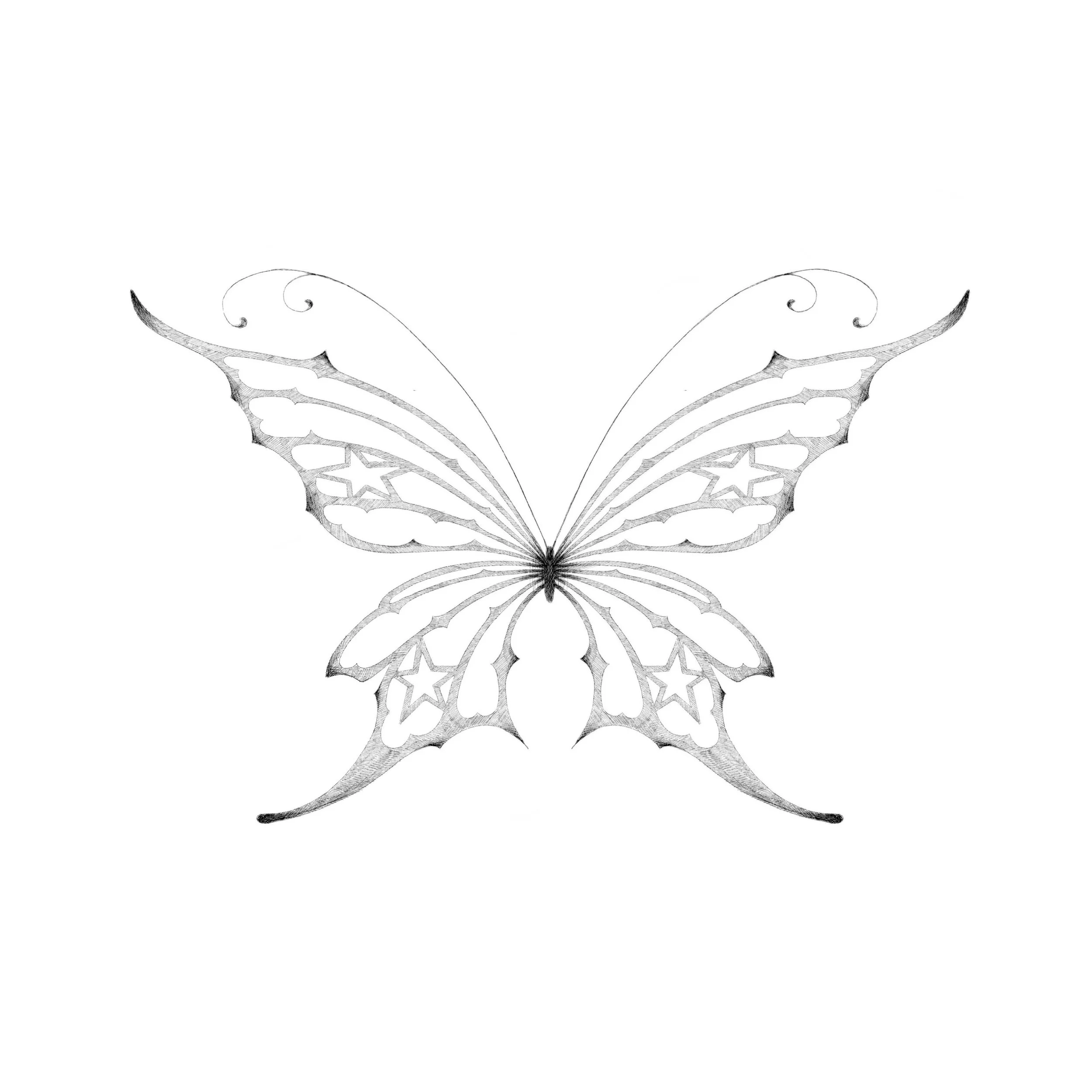 Butterfly 10. Price: $350