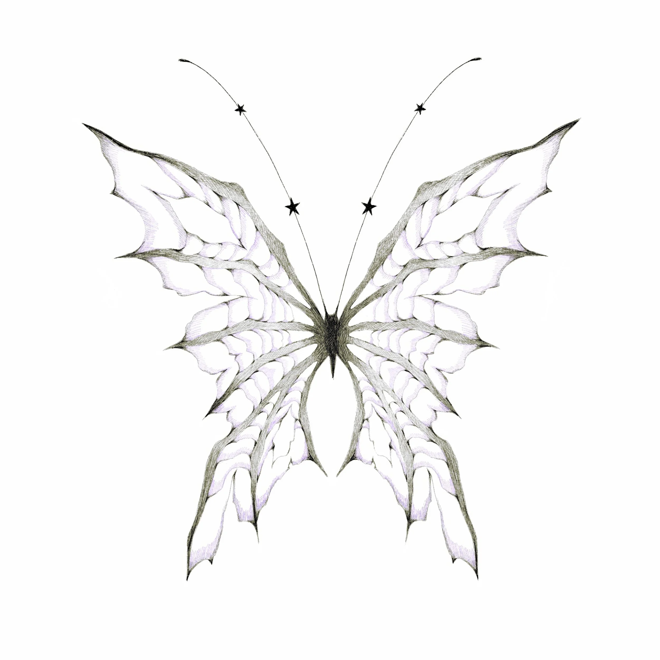 Butterfly 9. Price: $300