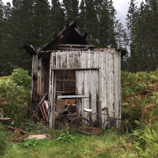 The Flimsy Case Against Structured Literacy in NZ Schools