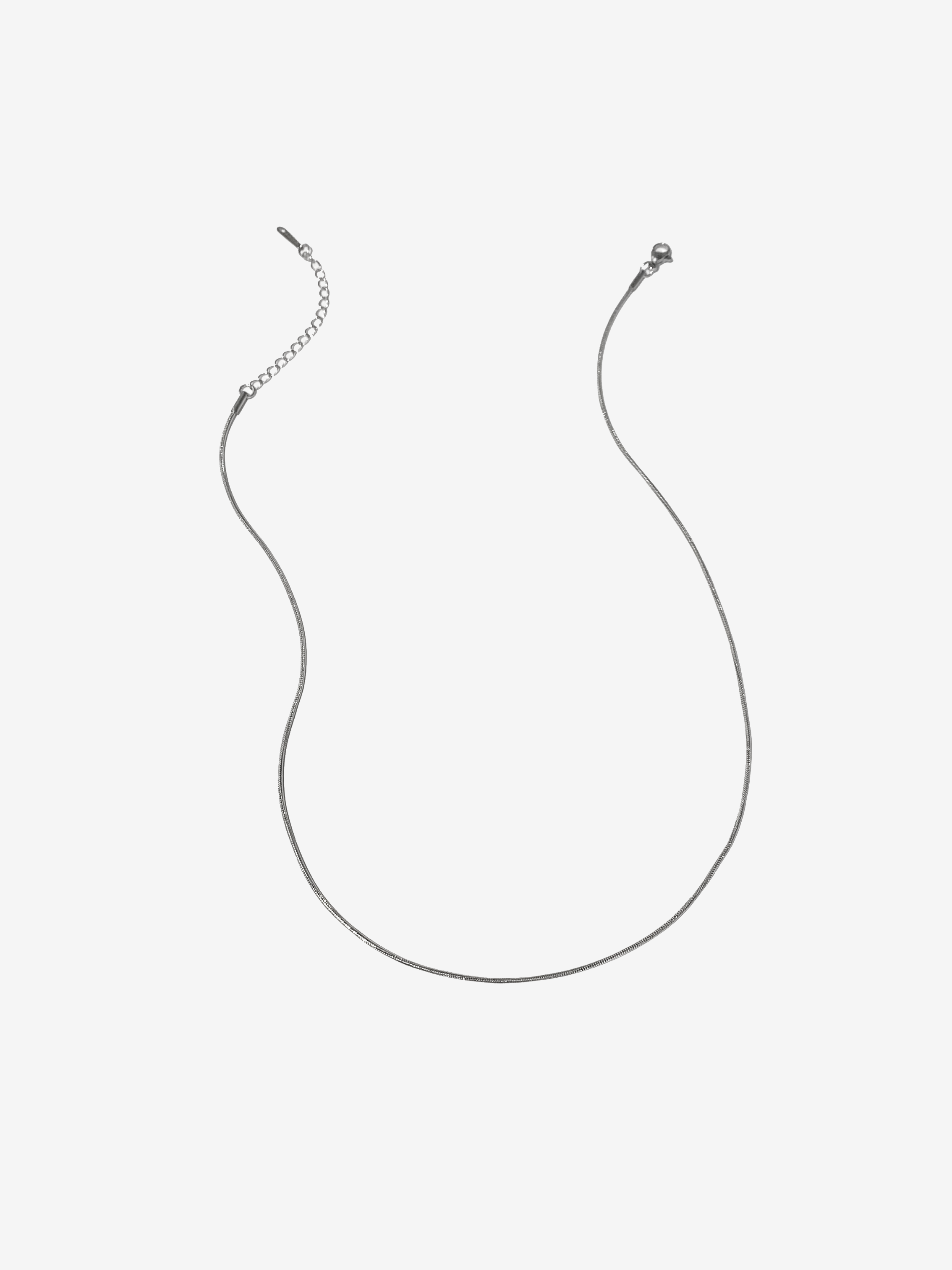 Silver Strand Necklace.png