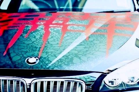 Vinyl + Graphic Design + Creative Direction  - BMW X New Zealand Fashion Week