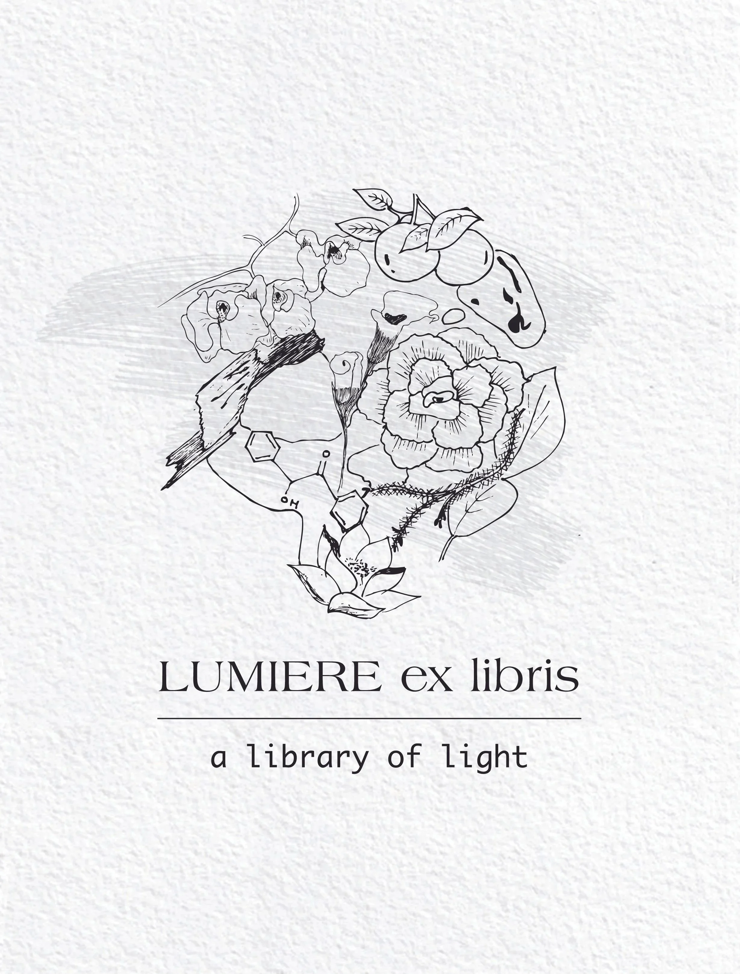 Logo + Packaging + Creative Direction - Parfumerie Lumiere Ex Libris