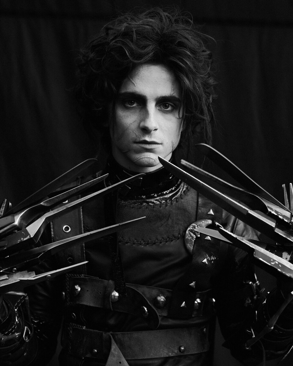 Timothee_Scissorhands_01_RTV1.jpg