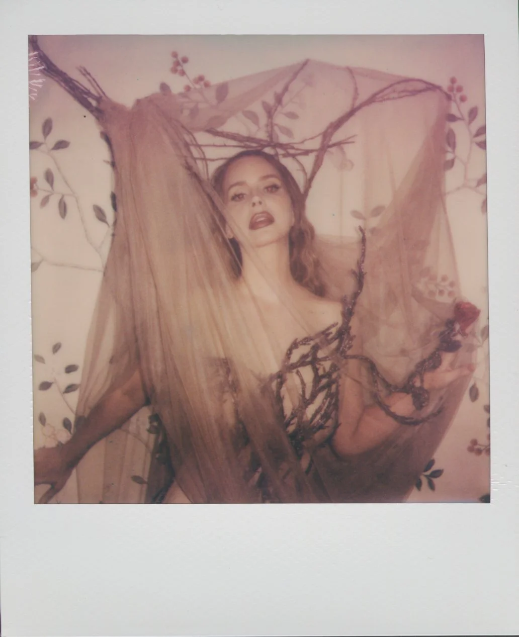 MET_POLAROIDS_01.jpg