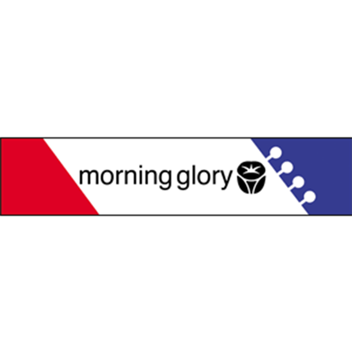 Morning Glory