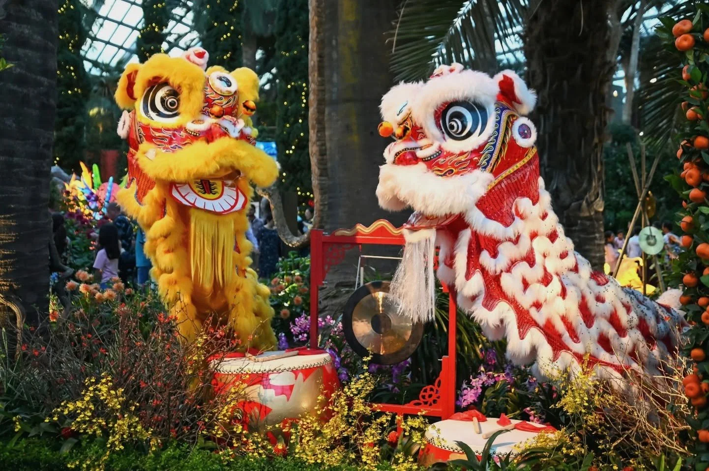 Don&rsquo;t miss the excitement this Sunday, 22 February at 2pm &mdash; experience the thrill of a traditional Lion Dance and welcome good luck for the year ahead! While you&rsquo;re here, enjoy a traditional Yum Cha meal, catch a movie, or make a da