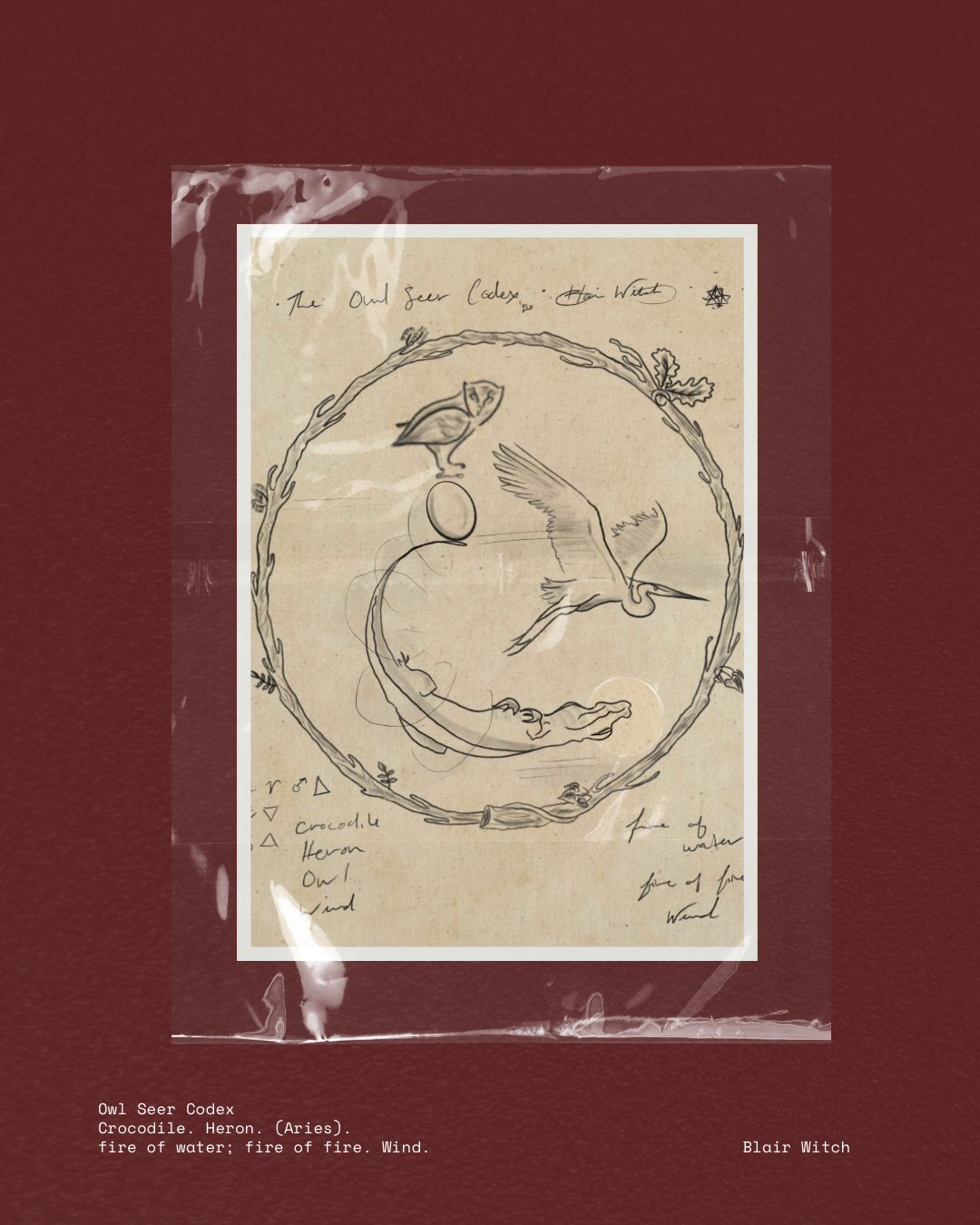 Eagle. Night. (Taurus) earth of earth..png