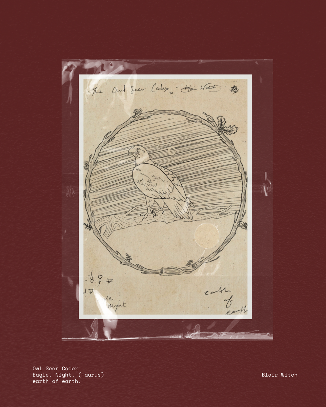 Eagle. Night. (Taurus) earth of earth..png