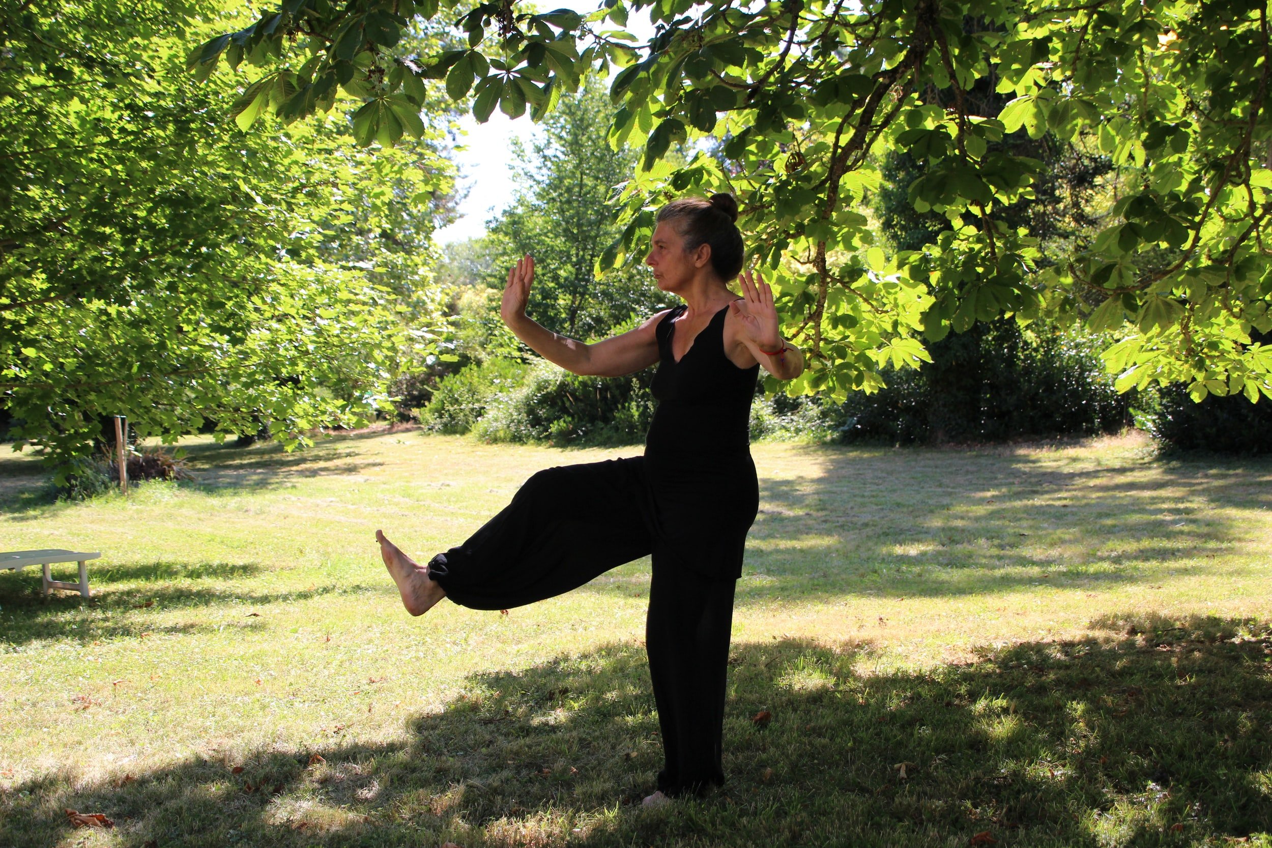 Tai Chi- via zoom