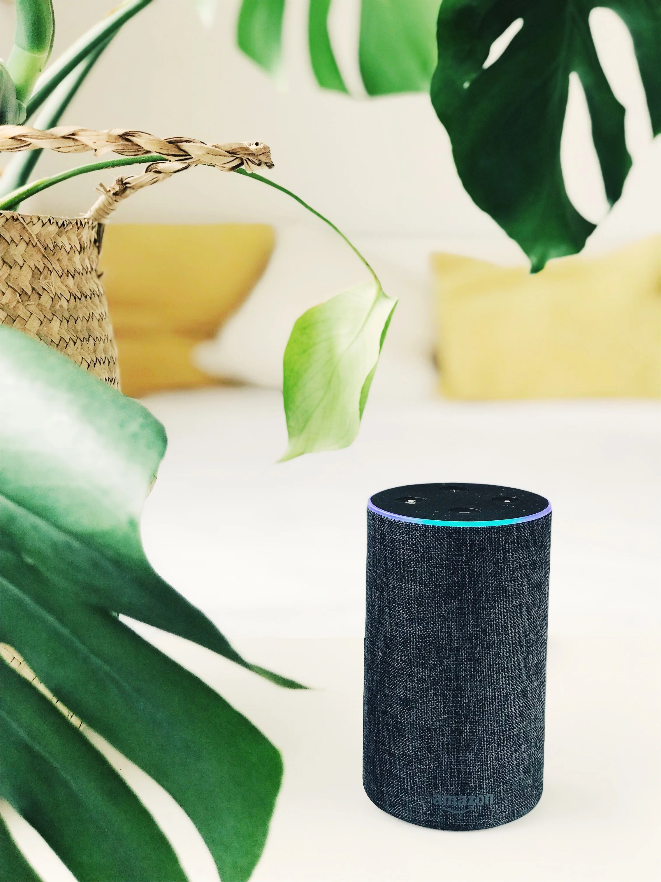 Bluetooth Speakers