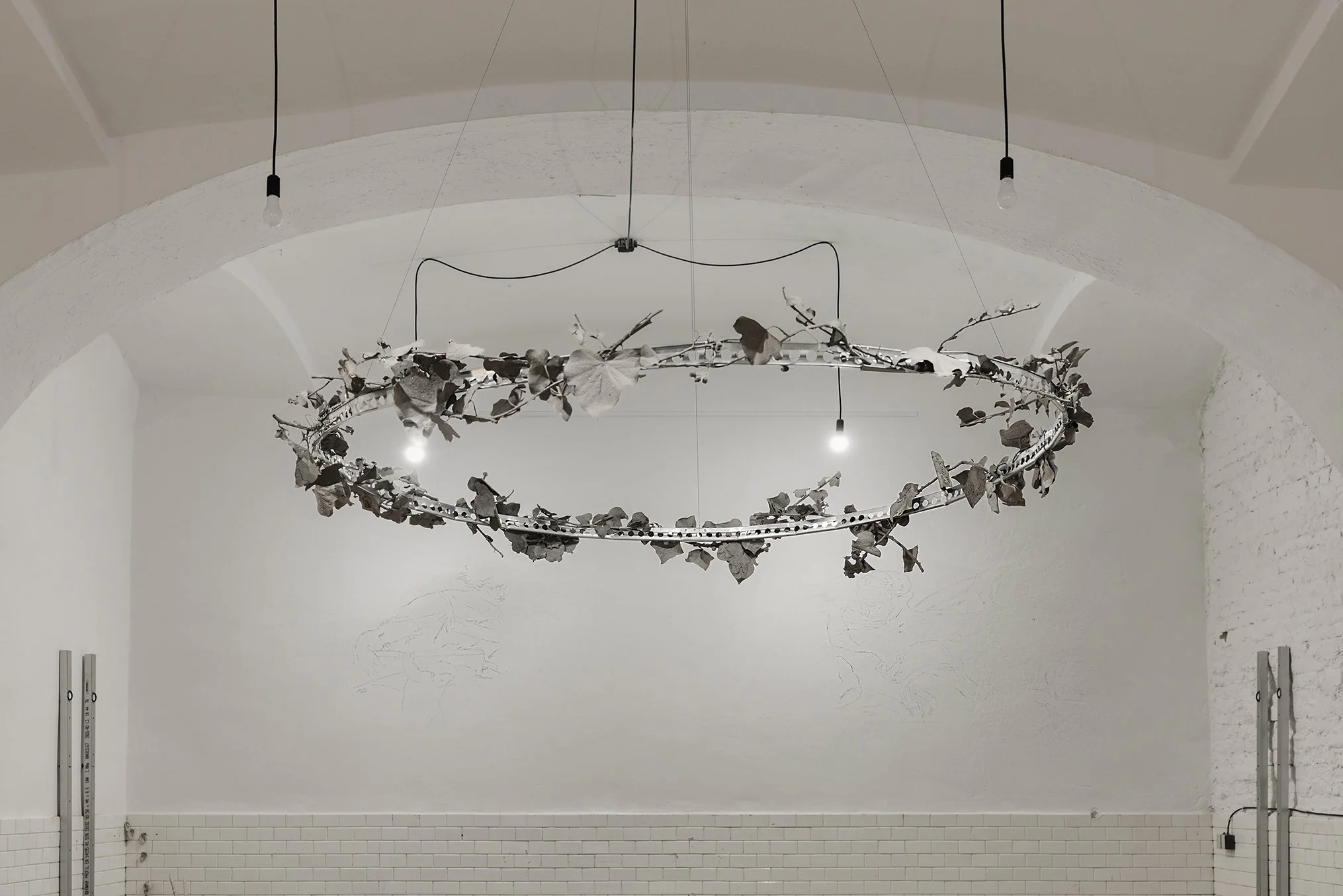 Anzhelika Palyovda KRANZ (II), 140×140 cm, concrete,metal wire, steel profile, found plants, 2026