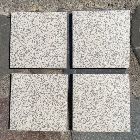IMG_2820 2 Normaal-squared Normaal.jpeg