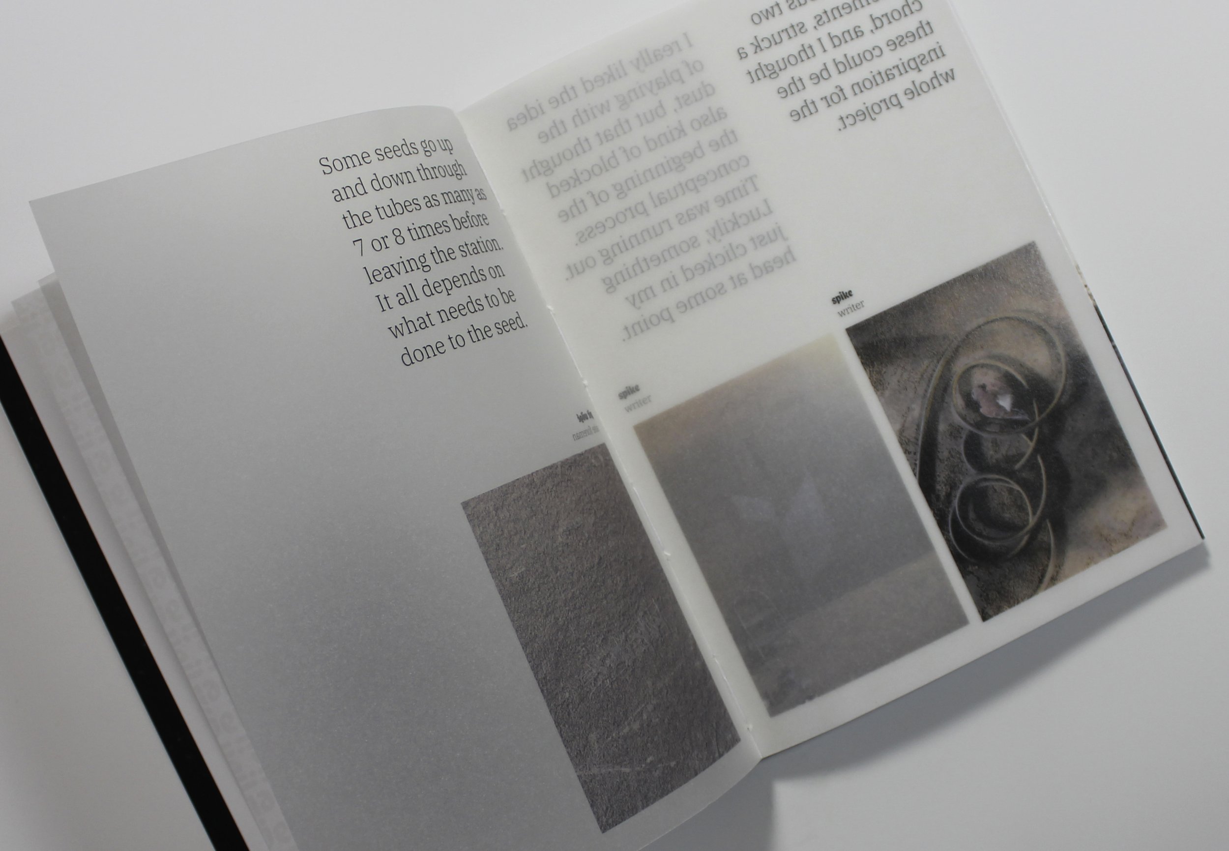 PACKSHOT BOOKS_VEIL4.jpg